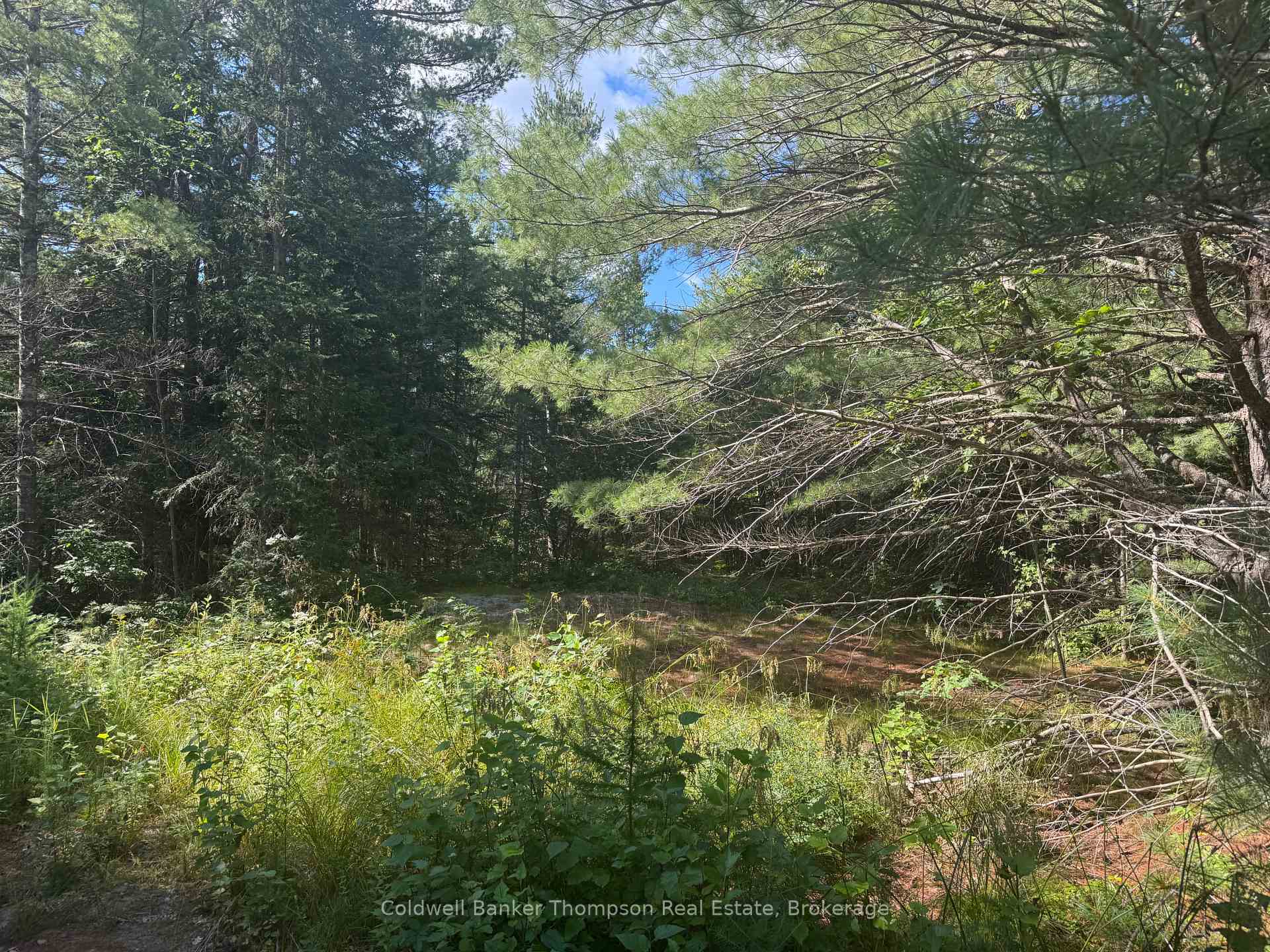Photo 1 of Magnetawan, Spence — HOMEH