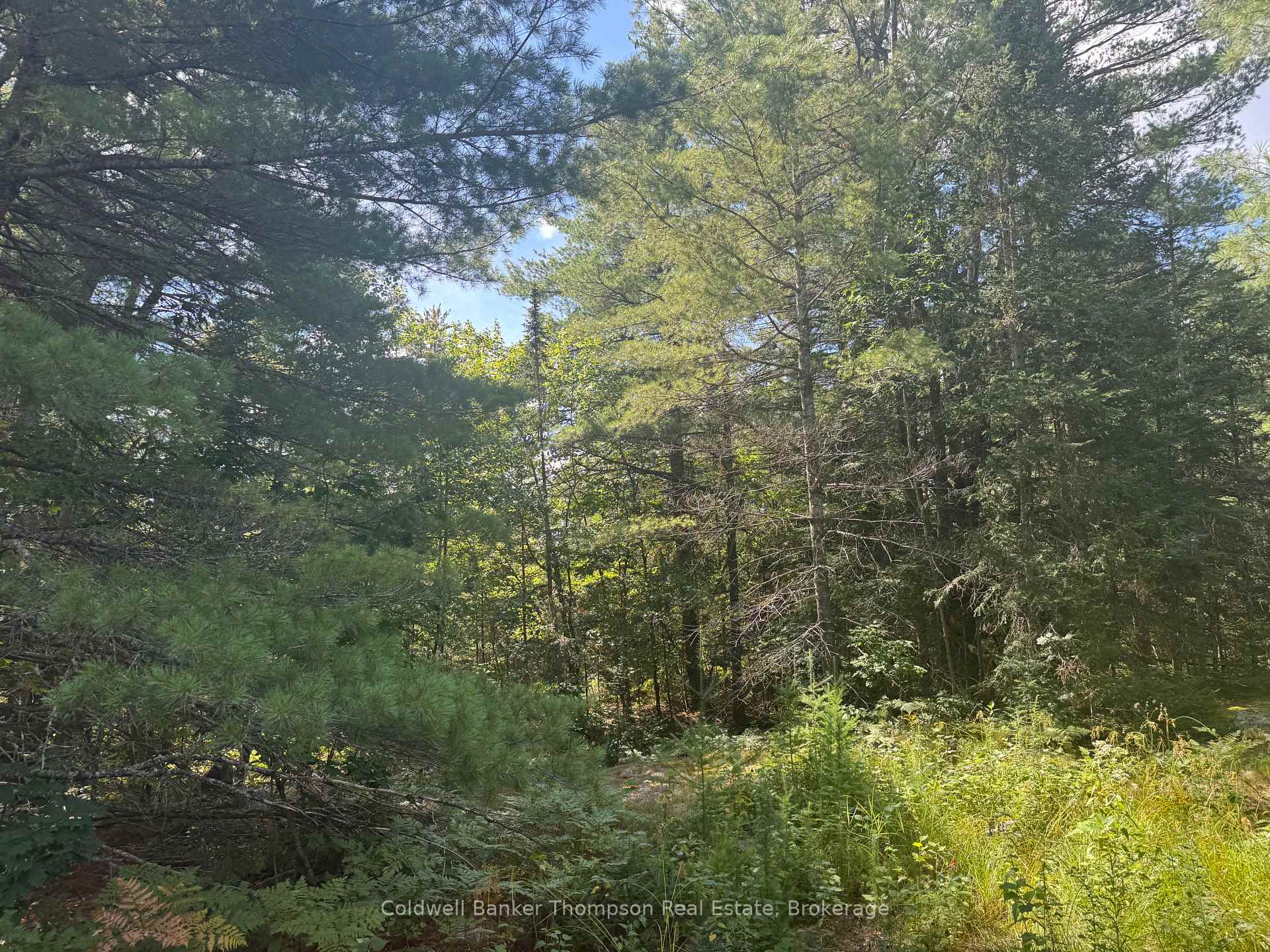 Photo 2 of Magnetawan, Spence — HOMEH