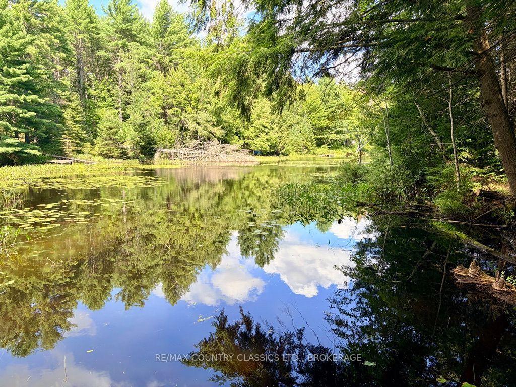 Photo 39 of 1068C Jacques Bay Road, Addington Highlands, Addington Highlands — HOMEH