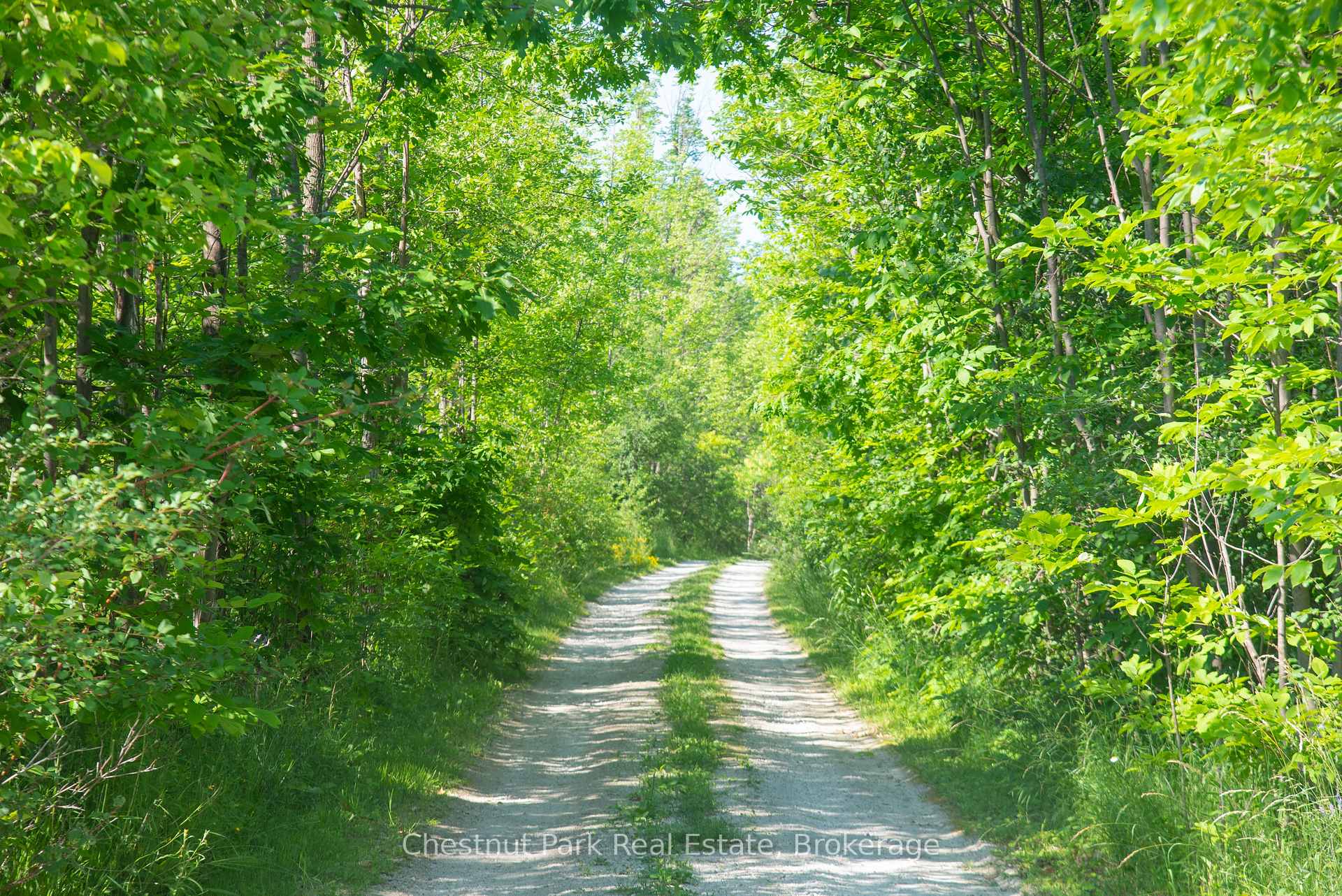 Photo 2 of 137 39th Side Road, Blue Mountains — HOMEH
