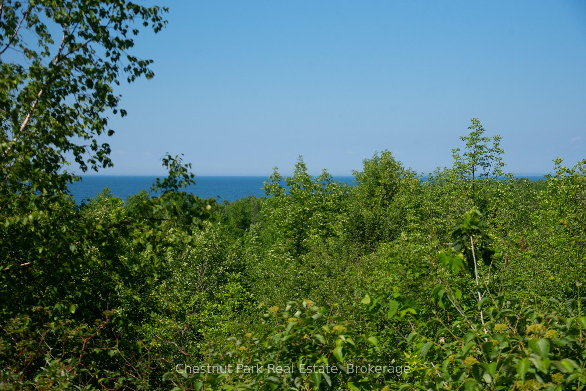 Photo 22 of 137 39th Side Road, Blue Mountains — HOMEH