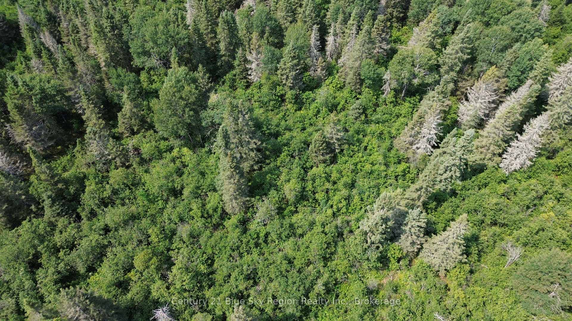 Photo 6 of PCL 15640 Crystal Falls Road, West Nipissing, Crystal Falls — HOMEH