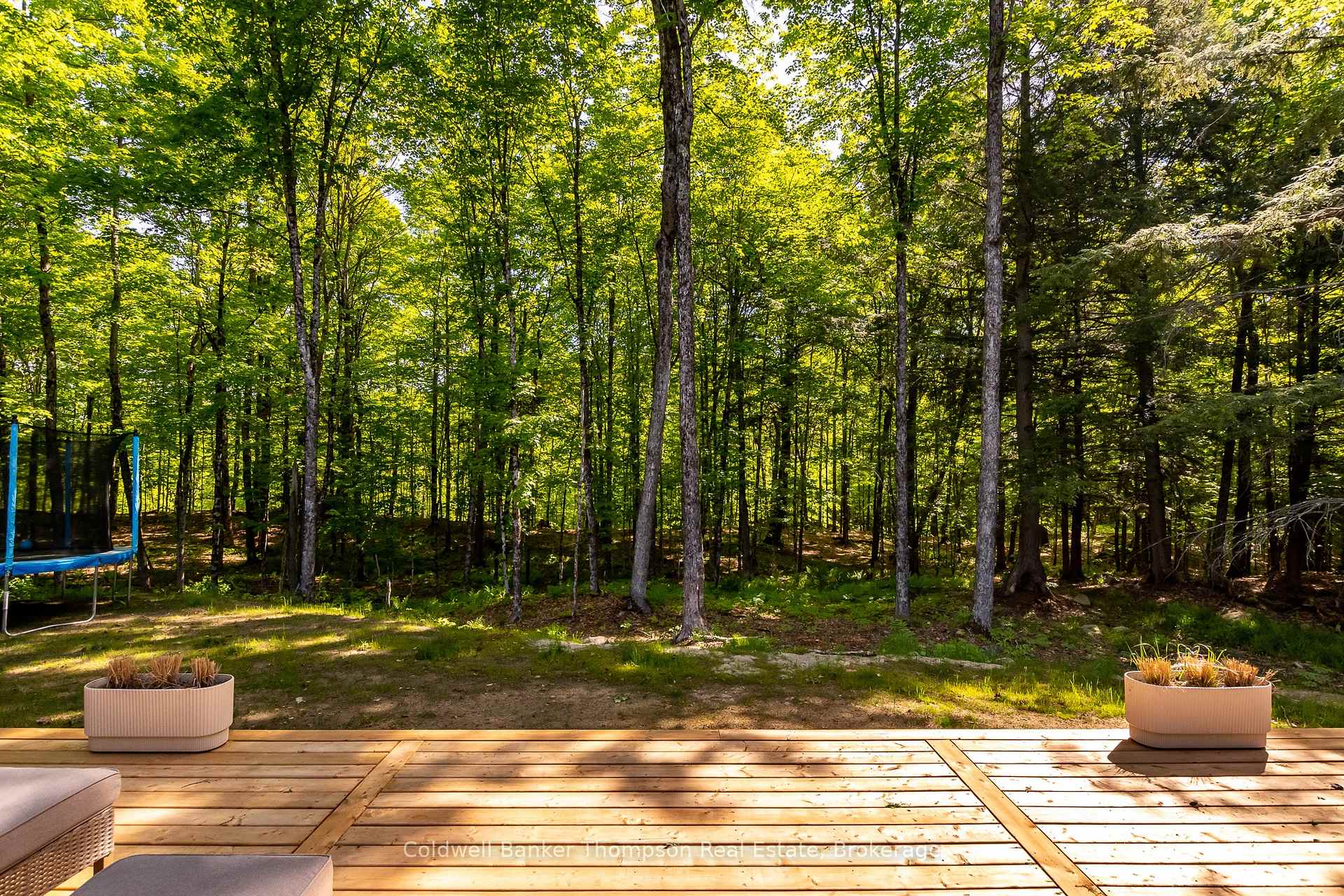Photo 36 of 960 Brunel Road, Huntsville, Brunel — HOMEH
