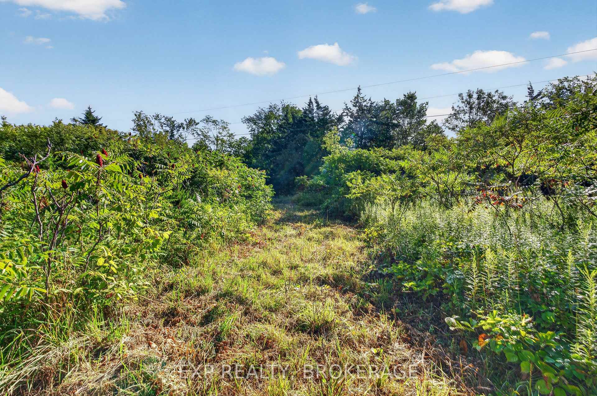 Photo 37 of PT LT 23 CON 7 Pebble Lane S, Frontenac, Frontenac South — HOMEH