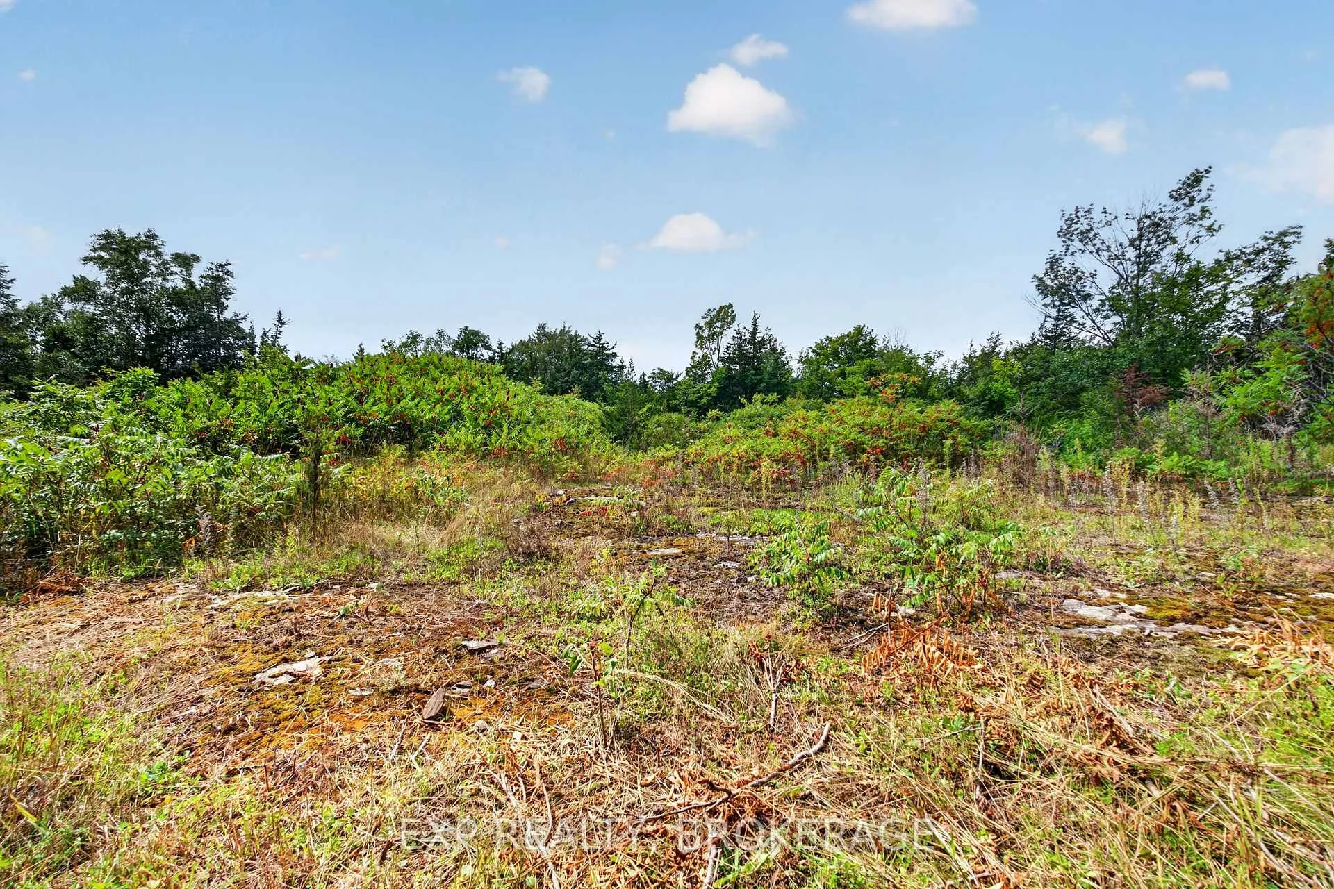 Photo 39 of PT LT 23 CON 7 Pebble Lane S, Frontenac, Frontenac South — HOMEH
