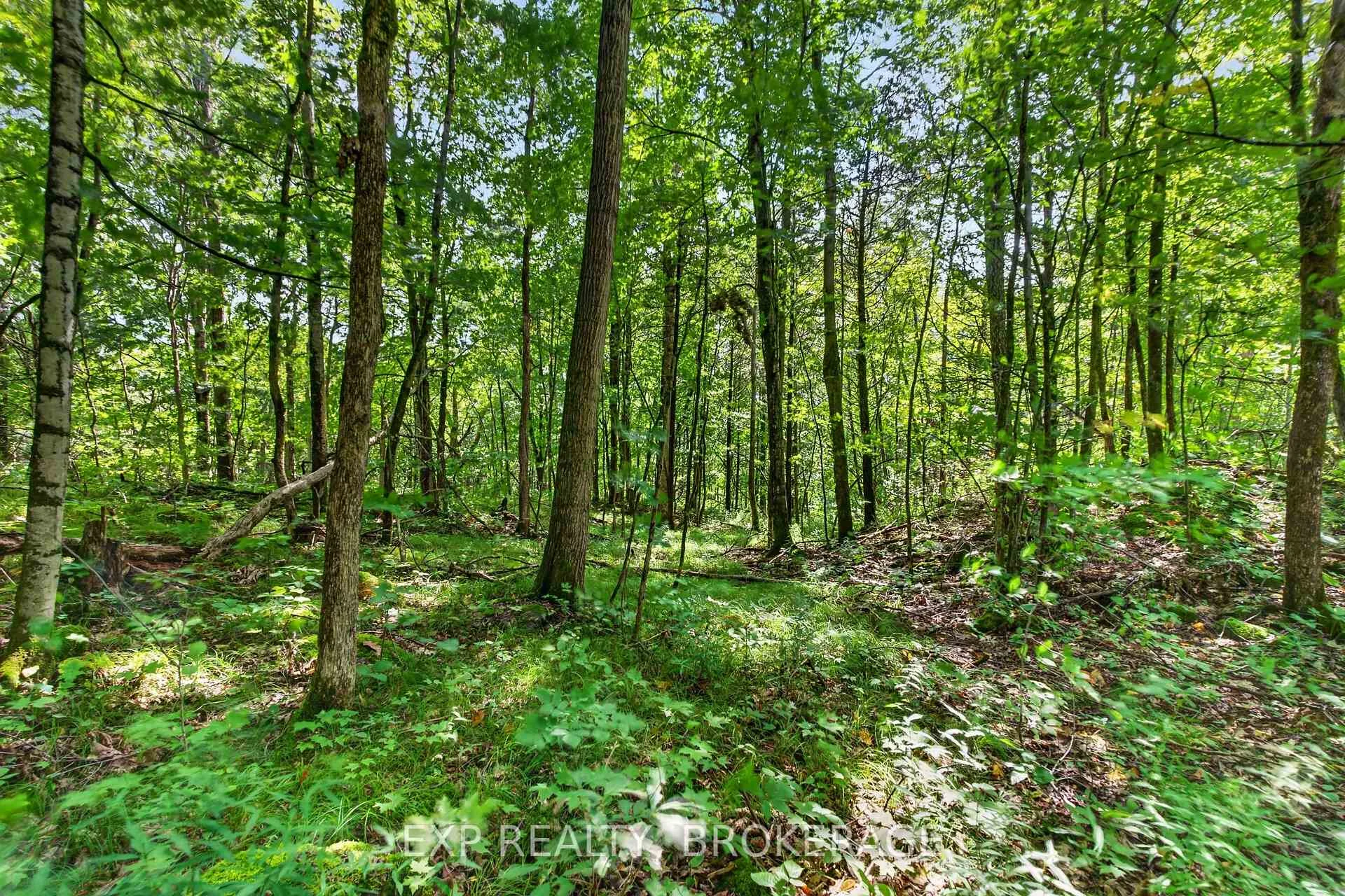 Photo 33 of PT LT 23 CON 7 Pebble Lane S, Frontenac, Frontenac South — HOMEH