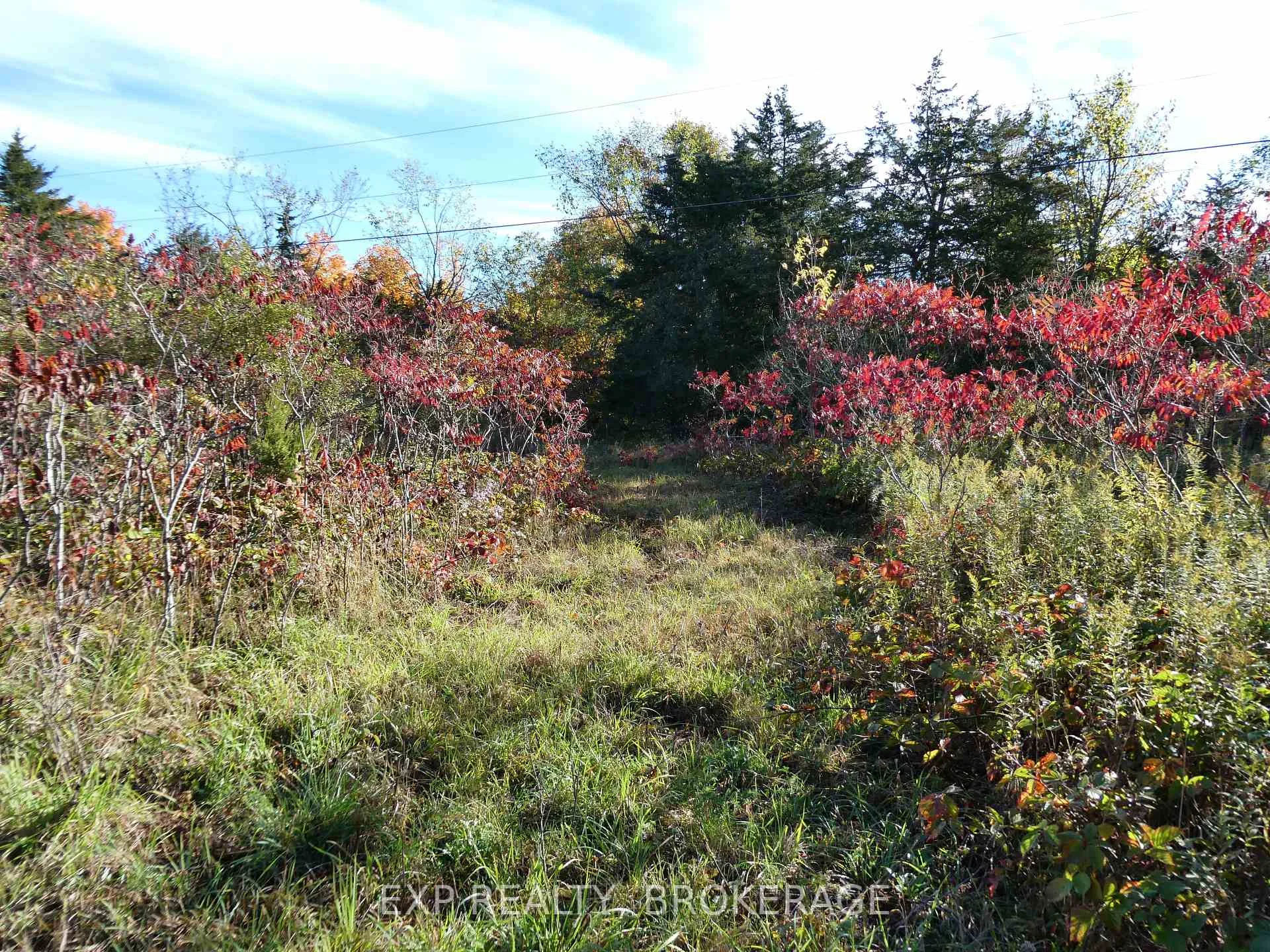 Photo 11 of PT LT 23 CON 7 Pebble Lane S, Frontenac, Frontenac South — HOMEH