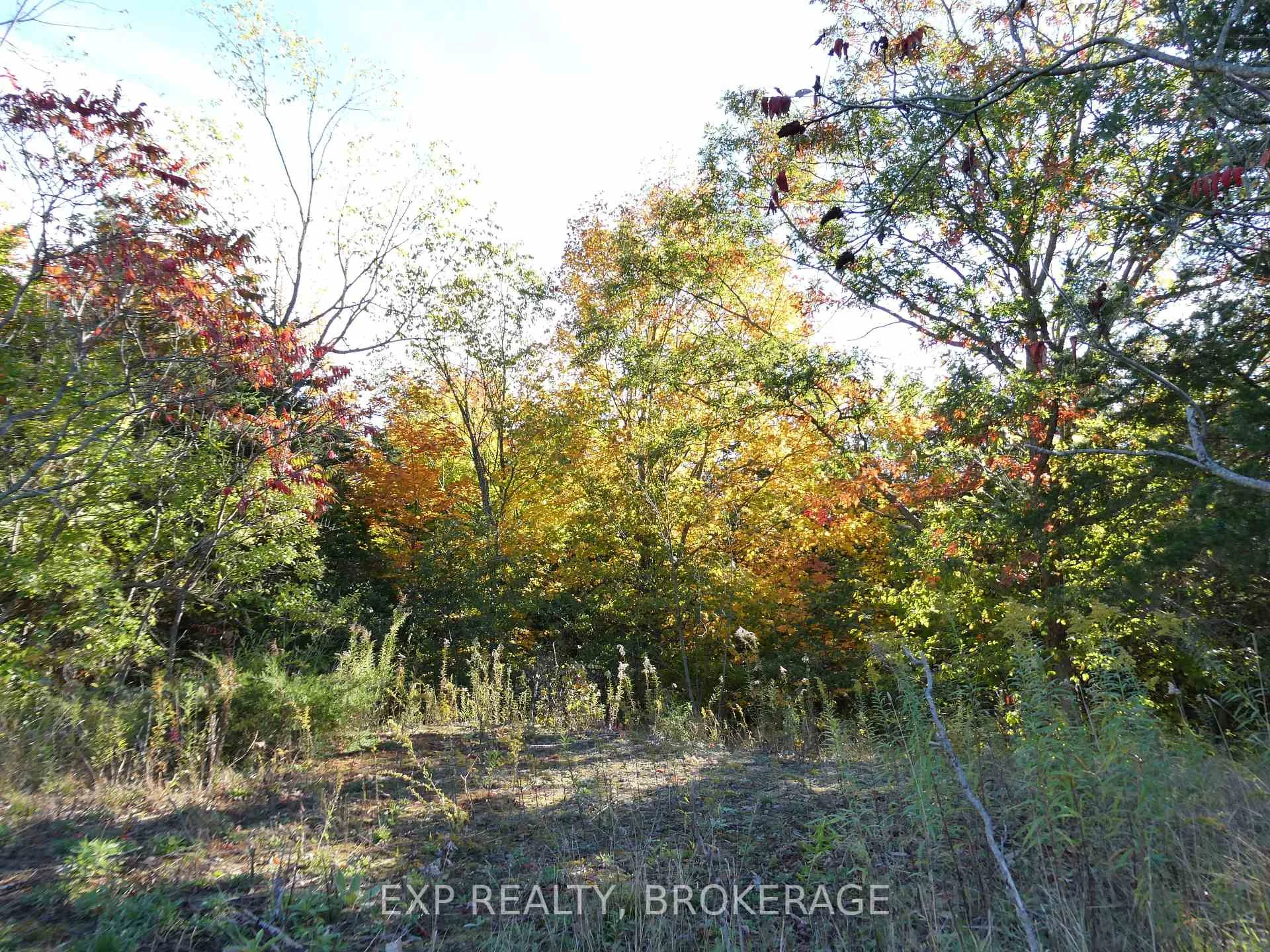 Photo 13 of PT LT 23 CON 7 Pebble Lane S, Frontenac, Frontenac South — HOMEH