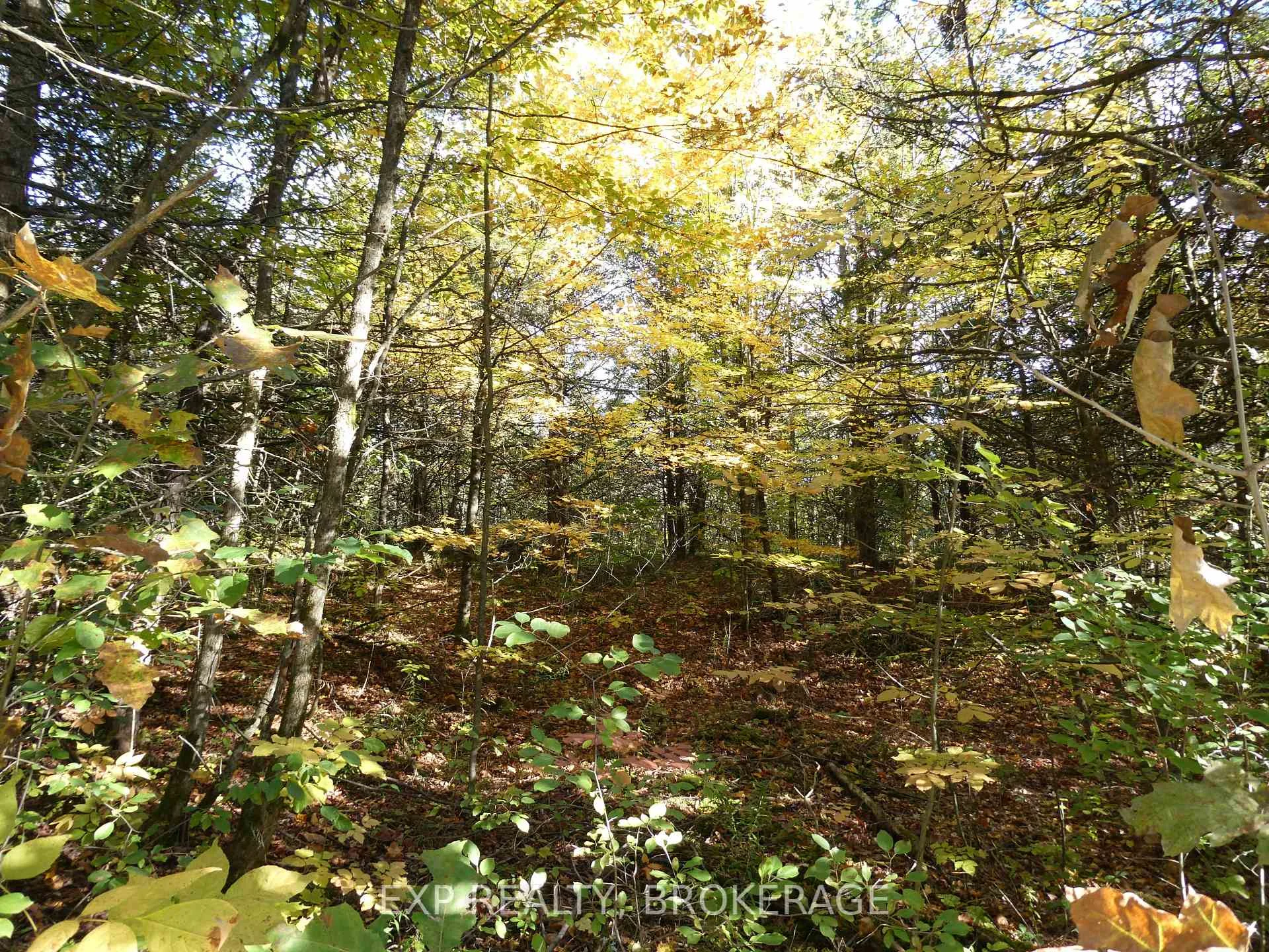 Photo 15 of PT LT 23 CON 7 Pebble Lane S, Frontenac, Frontenac South — HOMEH