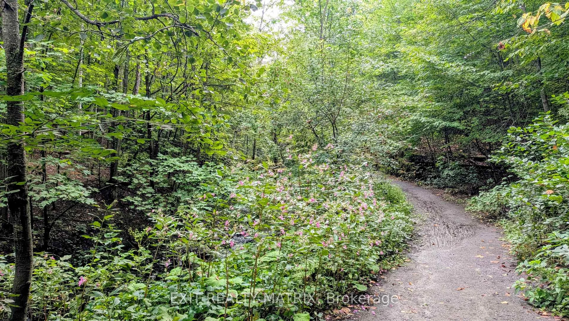 Photo 47 of 270 Fernleaf Crescent, Ottawa, Queenswood Heights South — HOMEH