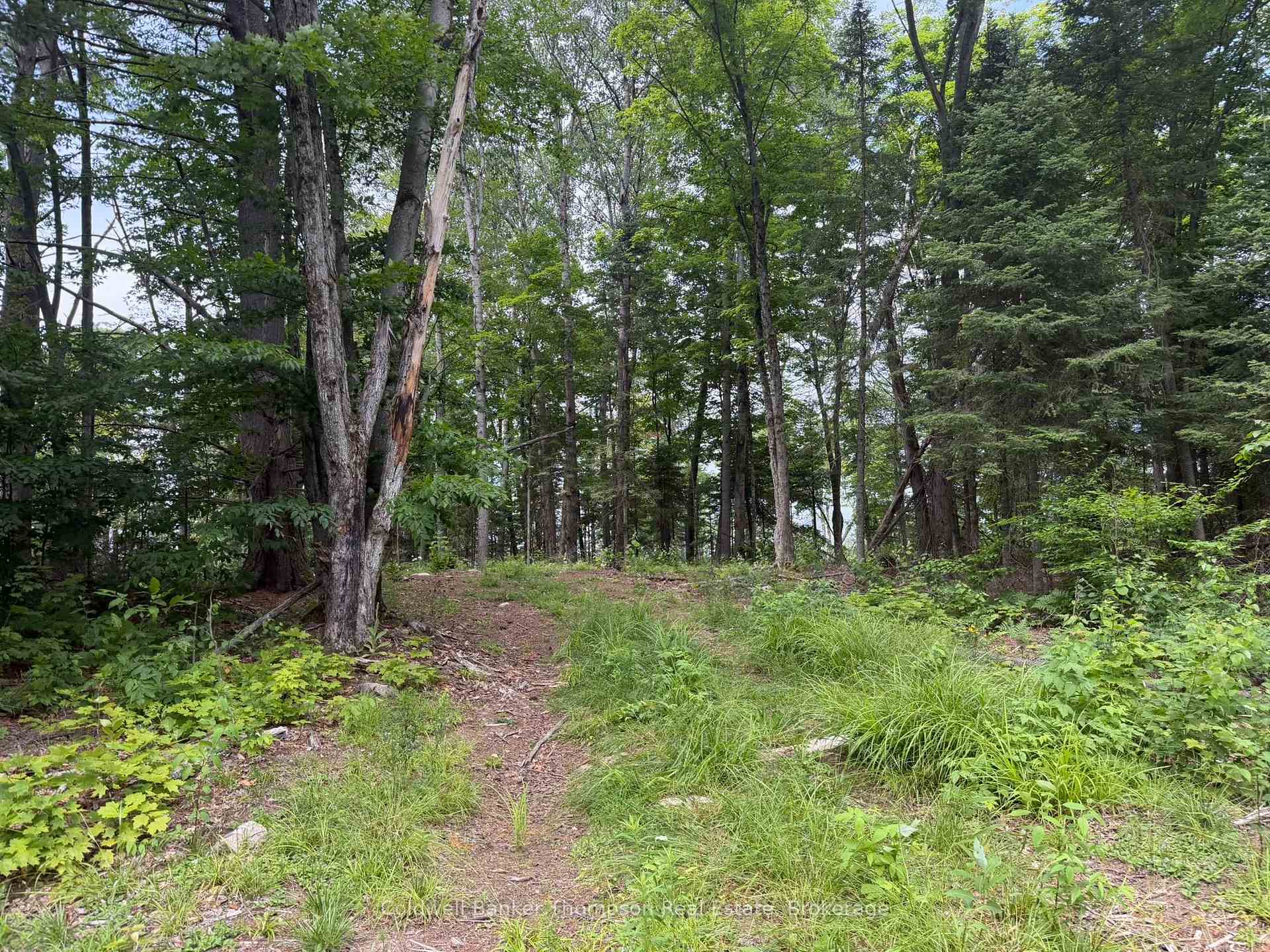 Photo of Lot 10 Con 3 Gurd Twp Rye Road/Granite Hill Road