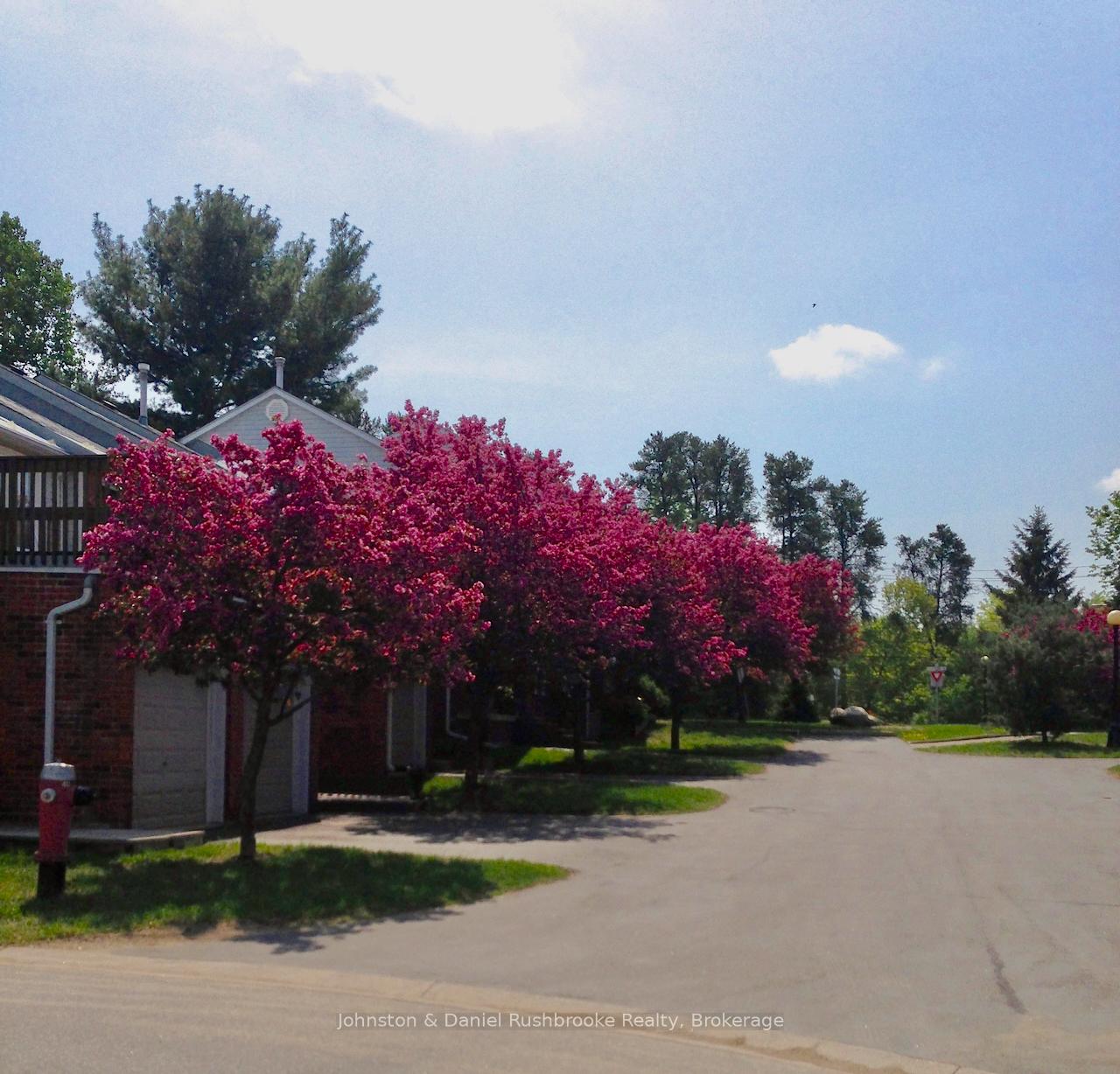 Photo 38 of 39 Shoreline Drive, Bracebridge — HOMEH