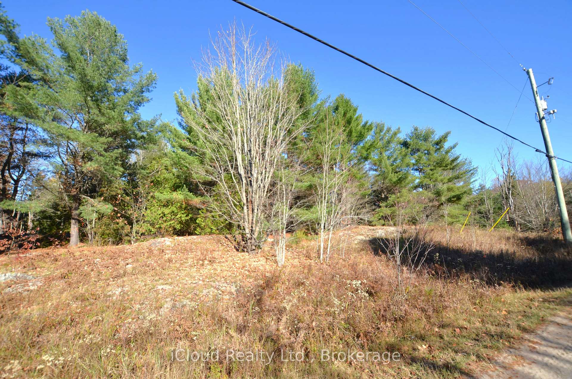 Photo 3 of 2 and 3 Parker Bay Road, Whitestone — HOMEH
