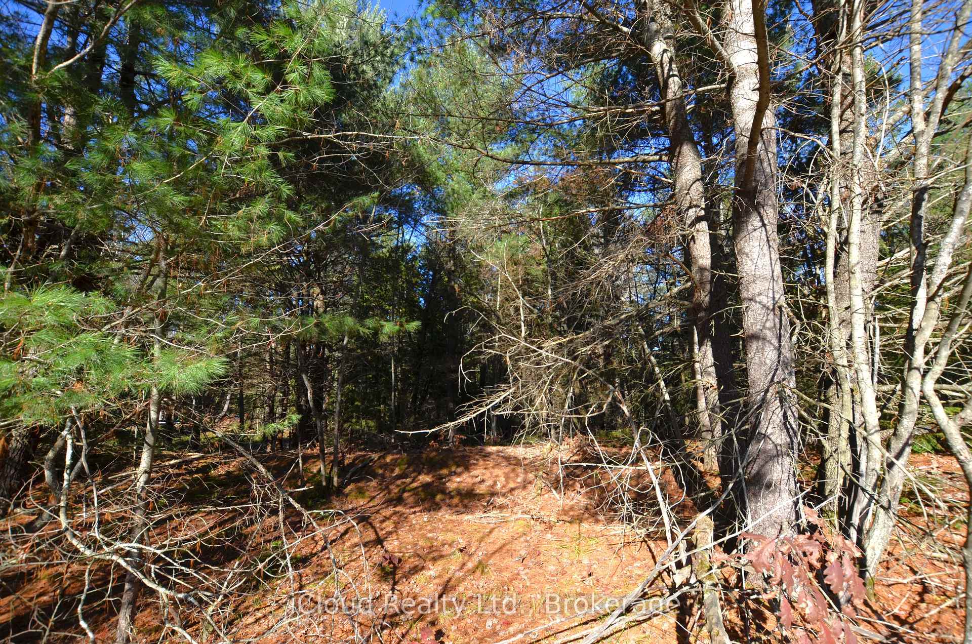 Photo 4 of 2 and 3 Parker Bay Road, Whitestone — HOMEH