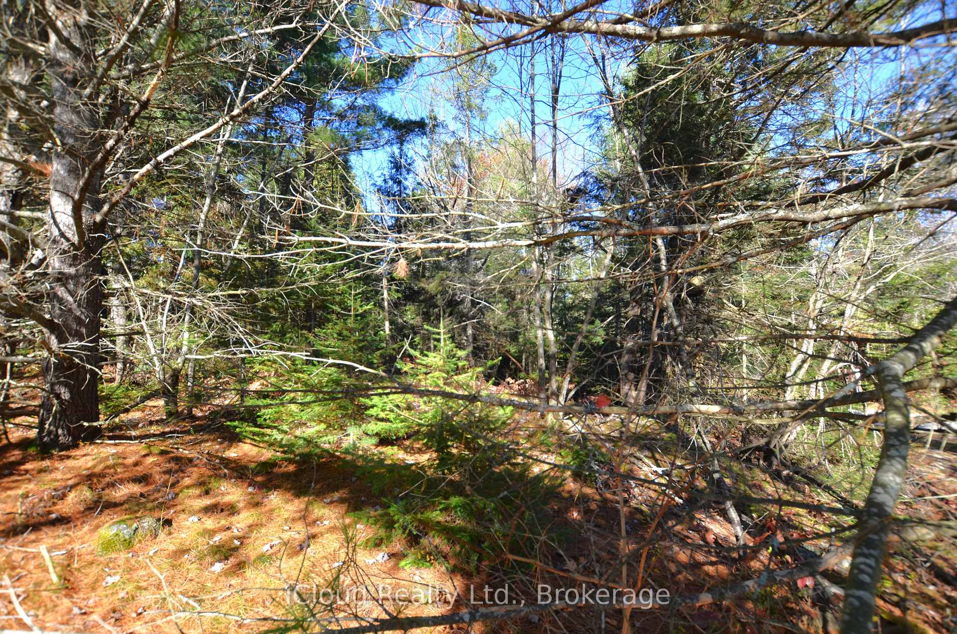 Photo 5 of 2 and 3 Parker Bay Road, Whitestone — HOMEH