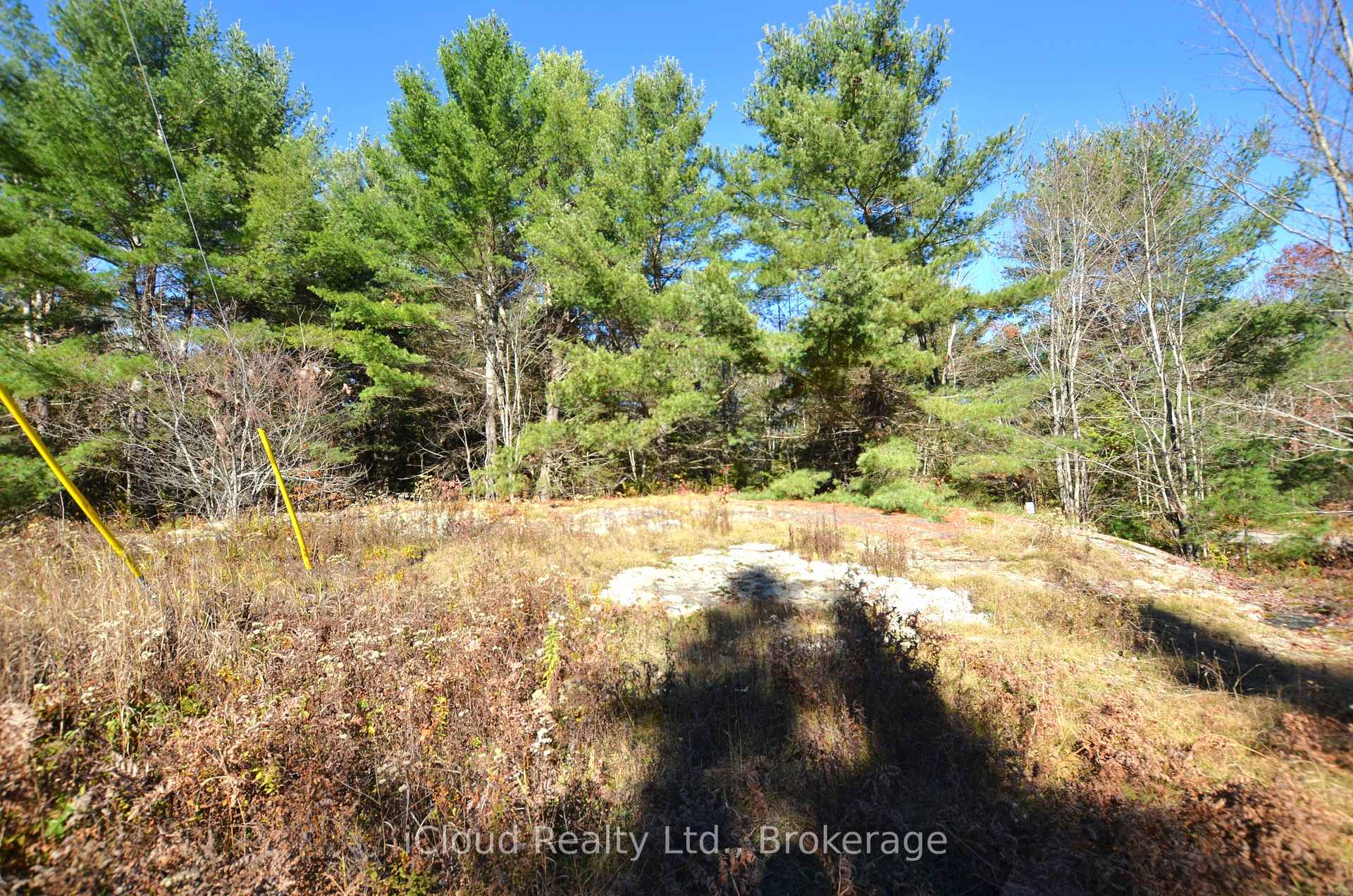 Photo 6 of 2 and 3 Parker Bay Road, Whitestone — HOMEH