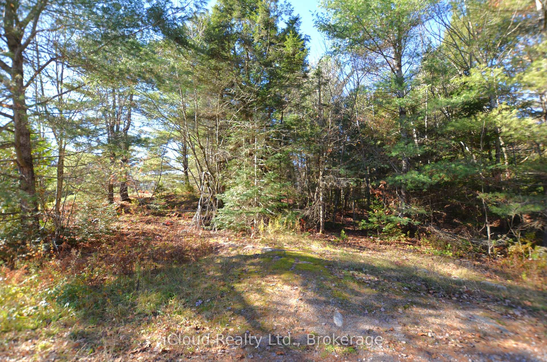 Photo 7 of 2 and 3 Parker Bay Road, Whitestone — HOMEH