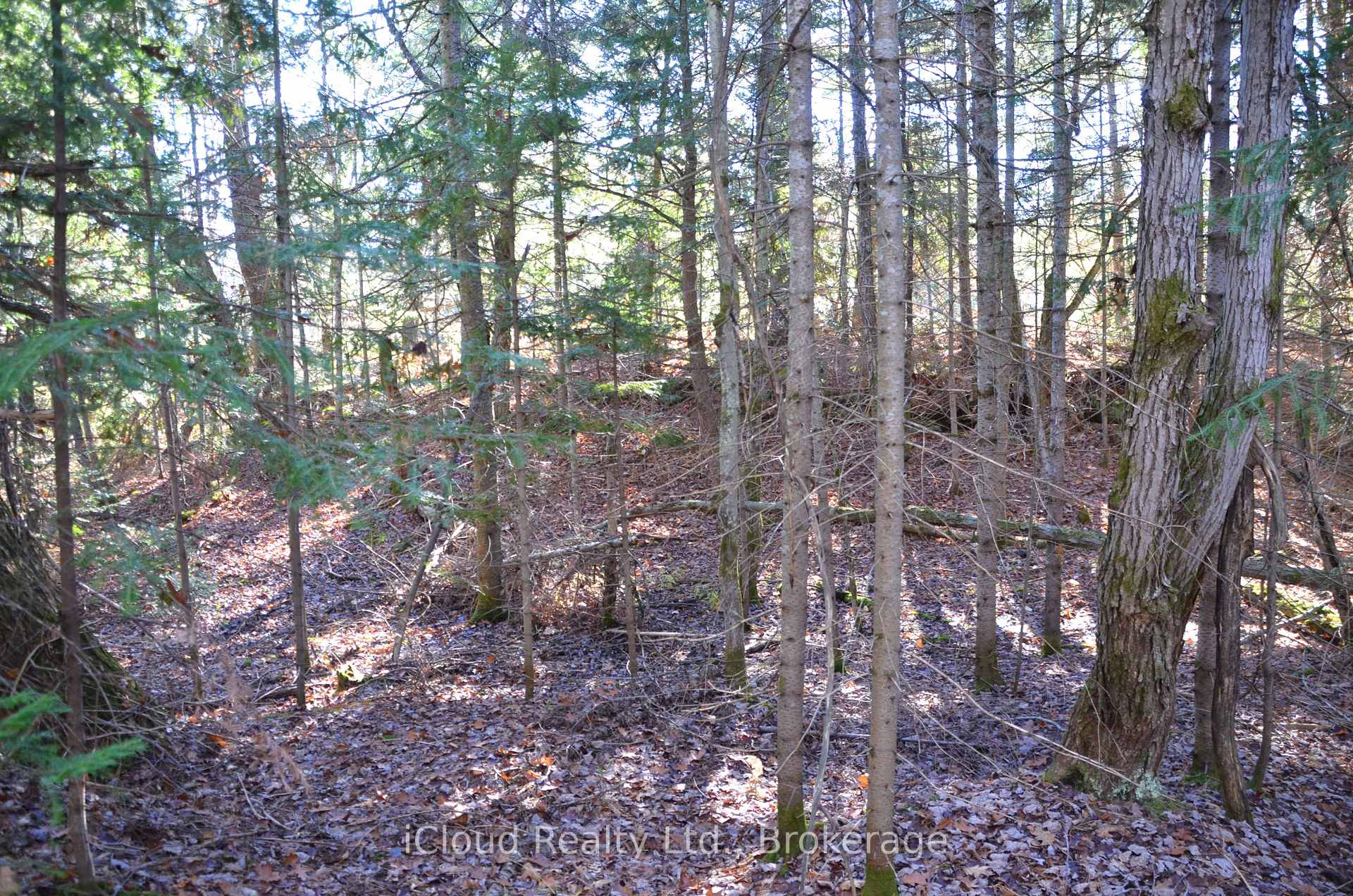 Photo 8 of 2 and 3 Parker Bay Road, Whitestone — HOMEH