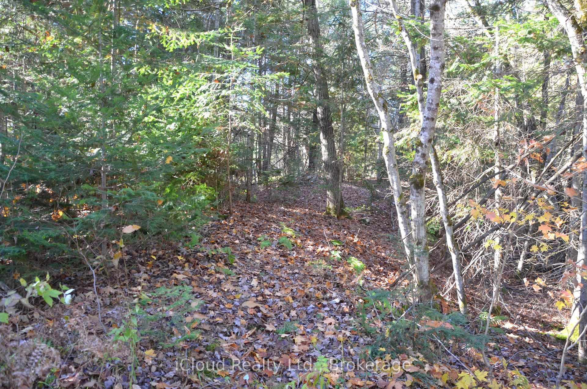 Photo 9 of 2 and 3 Parker Bay Road, Whitestone — HOMEH