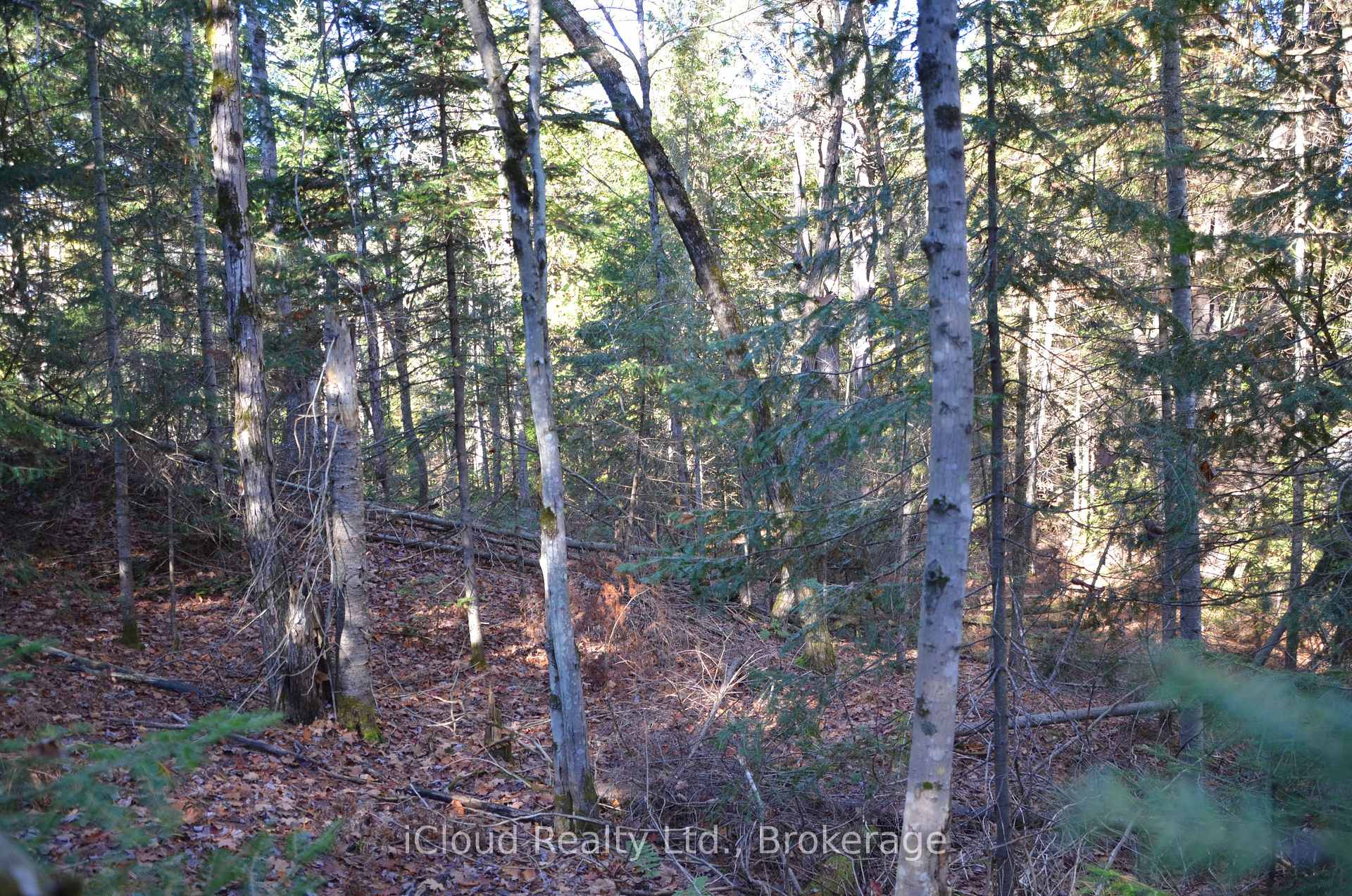 Photo 10 of 2 and 3 Parker Bay Road, Whitestone — HOMEH