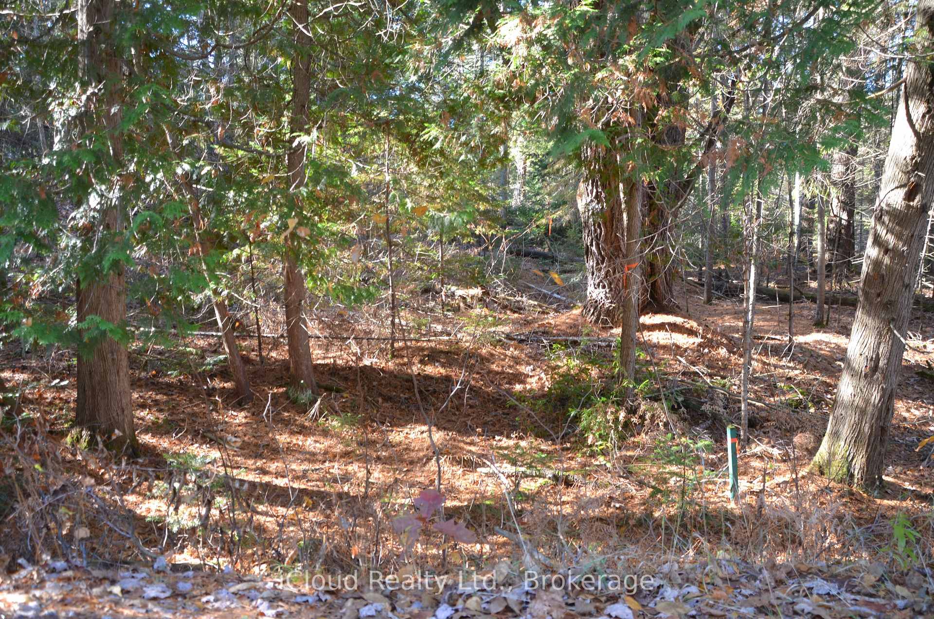 Photo 11 of 2 and 3 Parker Bay Road, Whitestone — HOMEH