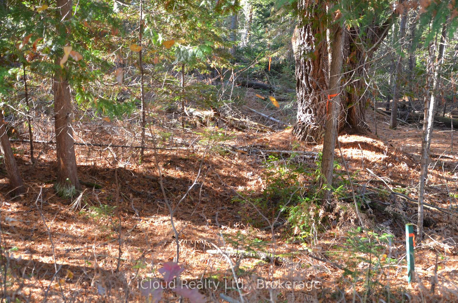 Photo 12 of 2 and 3 Parker Bay Road, Whitestone — HOMEH