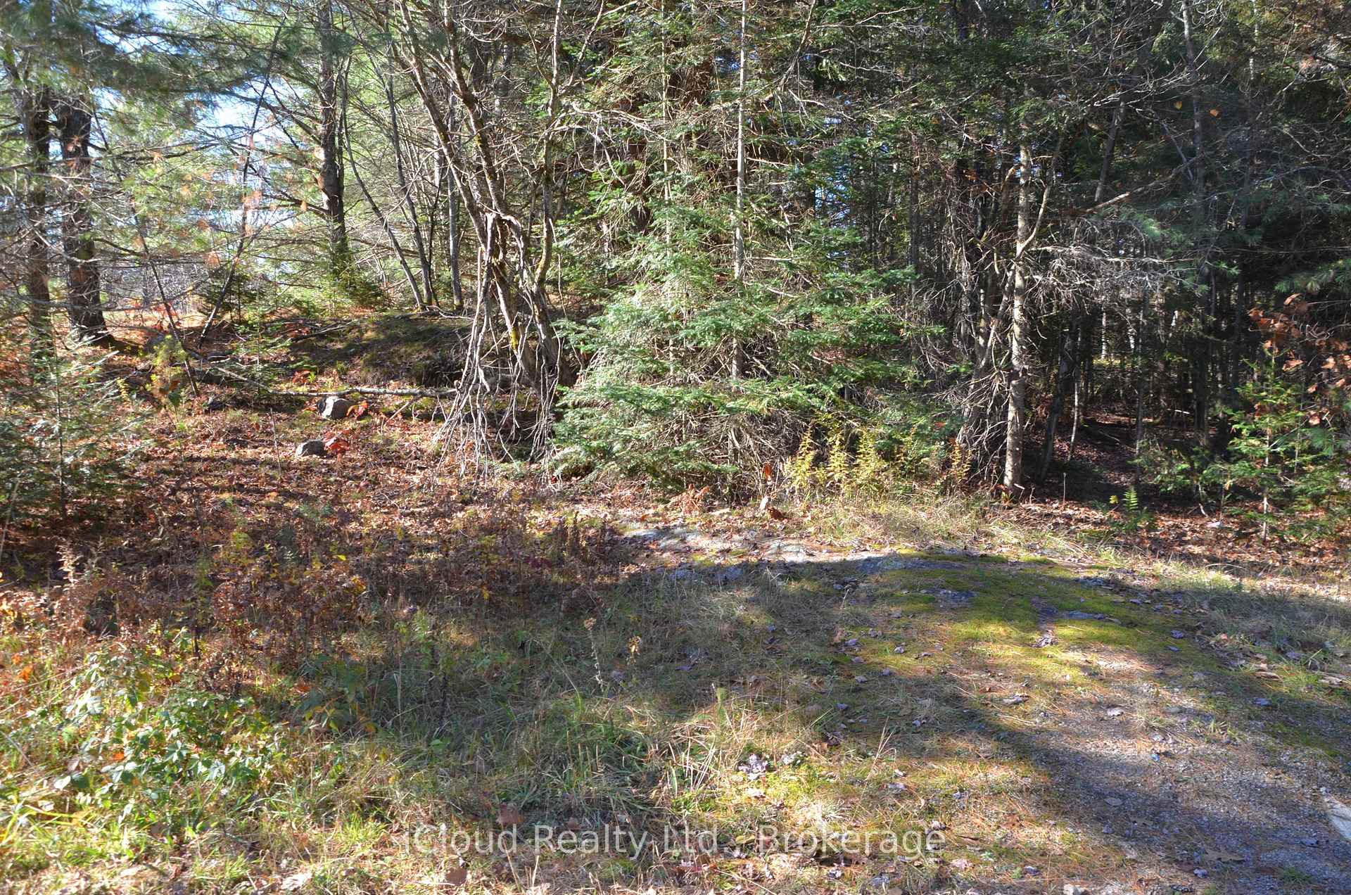 Photo 13 of 2 and 3 Parker Bay Road, Whitestone — HOMEH