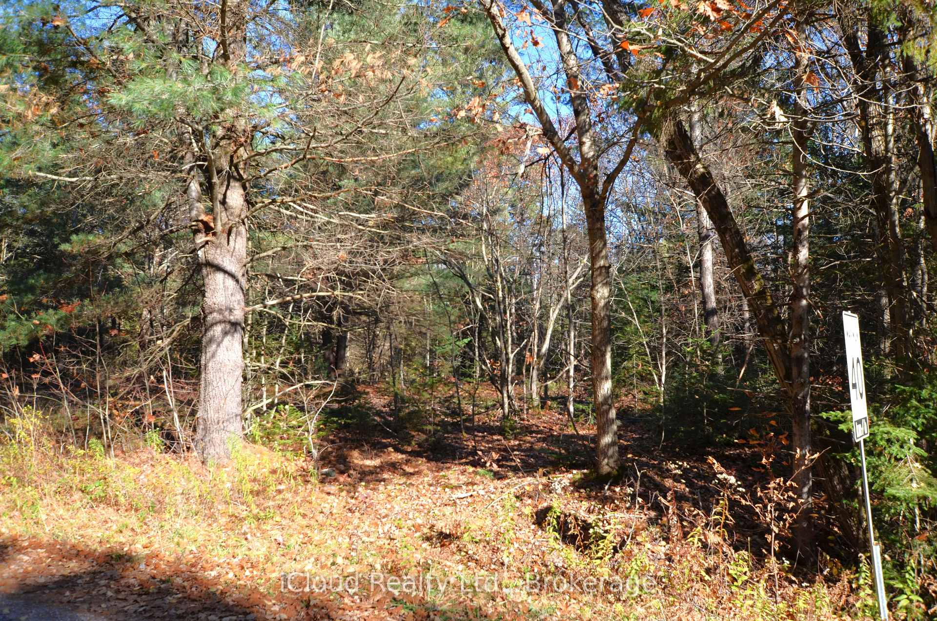 Photo 17 of 2 and 3 Parker Bay Road, Whitestone — HOMEH