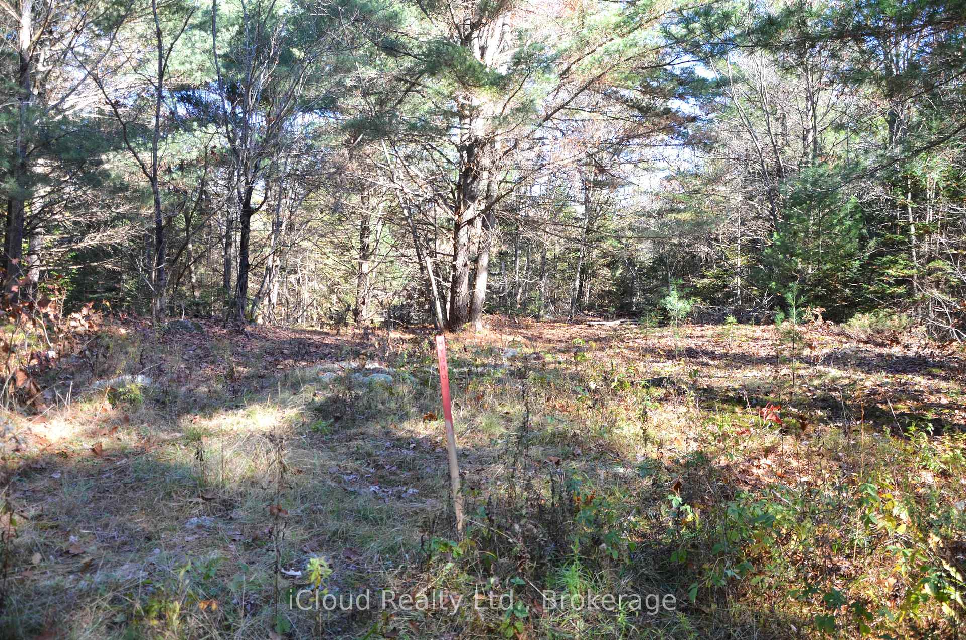 Photo 21 of 2 and 3 Parker Bay Road, Whitestone — HOMEH