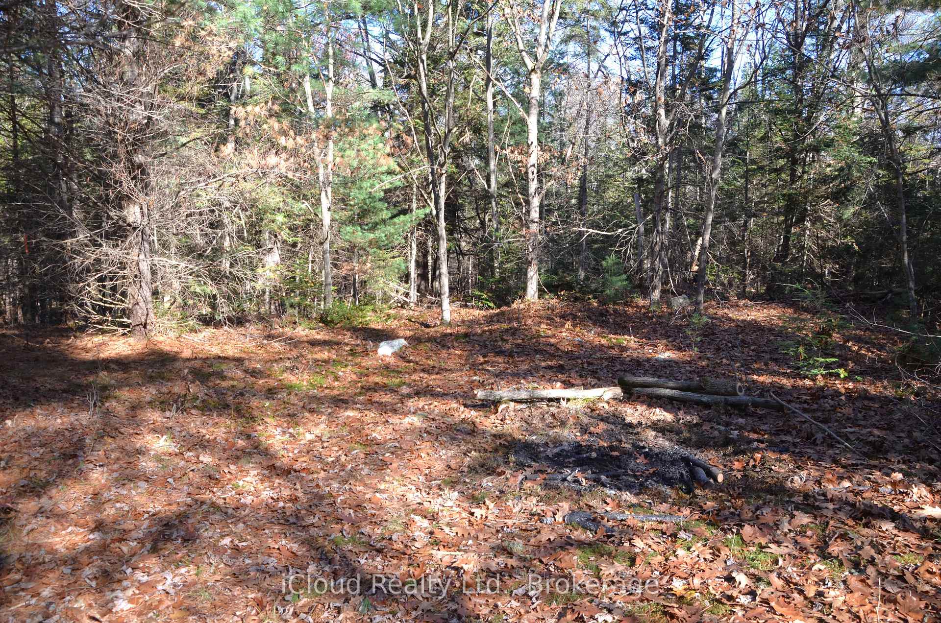 Photo 22 of 2 and 3 Parker Bay Road, Whitestone — HOMEH