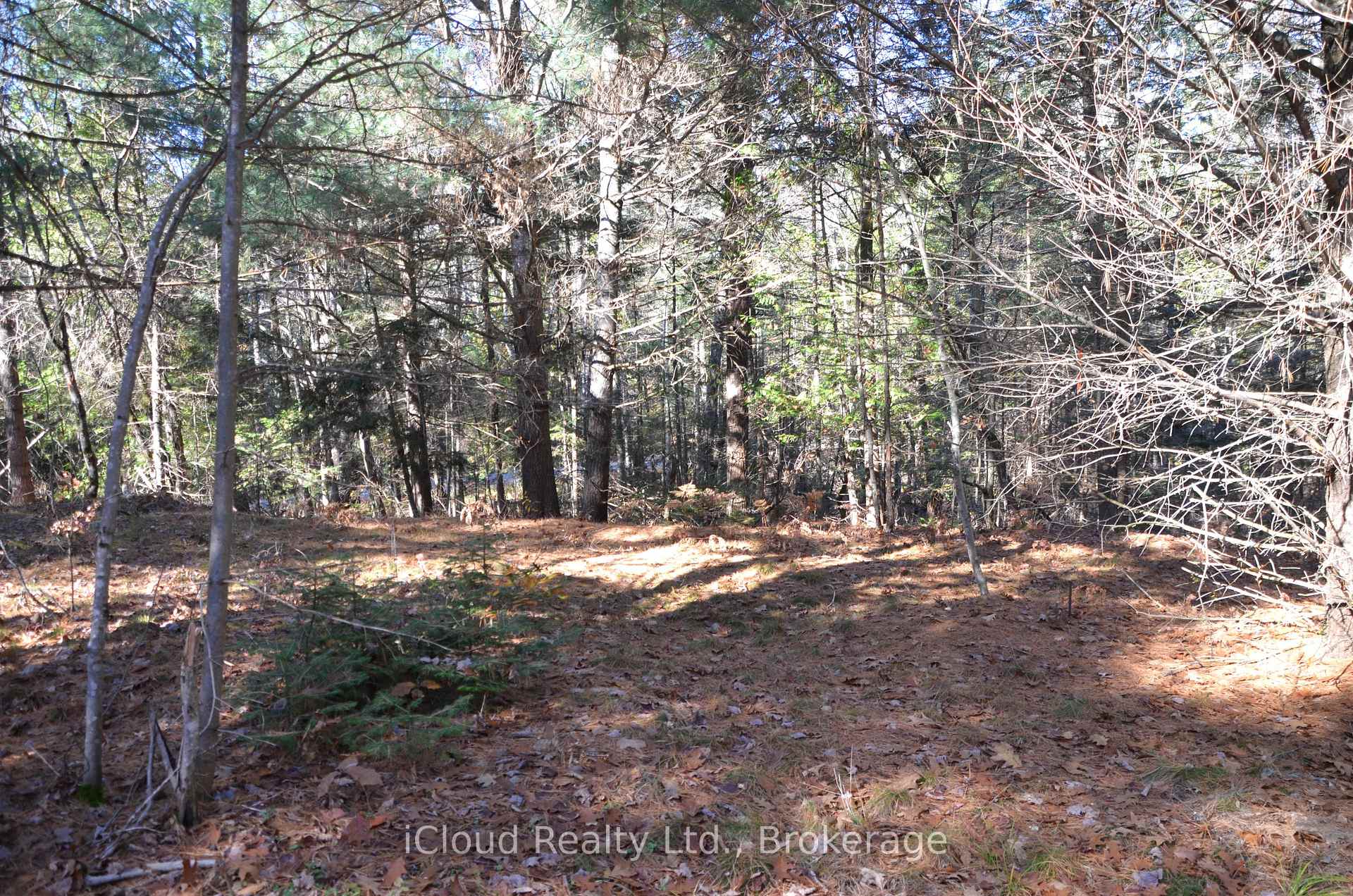 Photo 23 of 2 and 3 Parker Bay Road, Whitestone — HOMEH