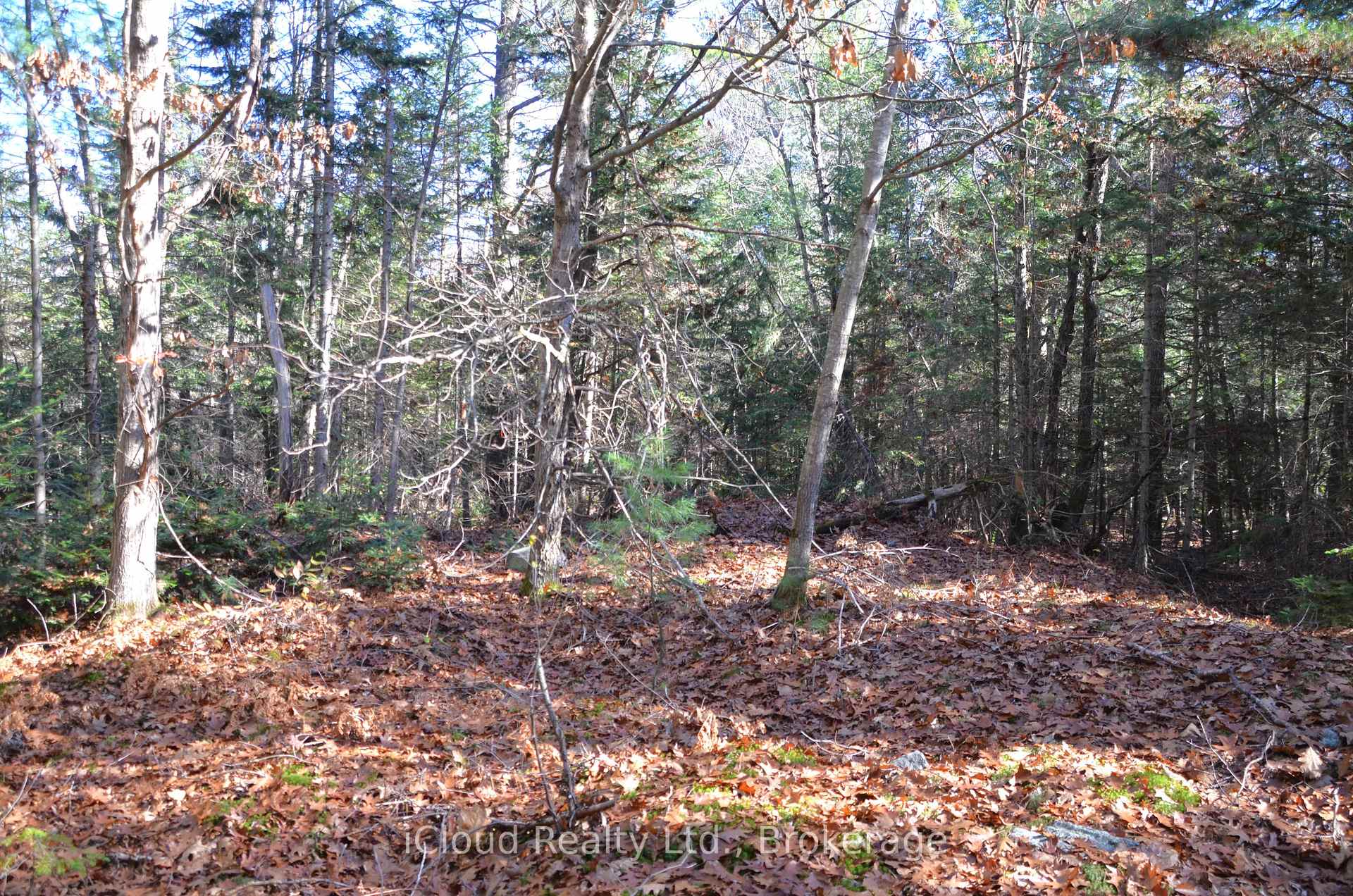 Photo 24 of 2 and 3 Parker Bay Road, Whitestone — HOMEH