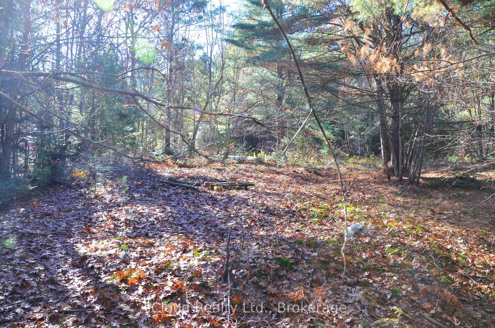 Photo 26 of 2 and 3 Parker Bay Road, Whitestone — HOMEH