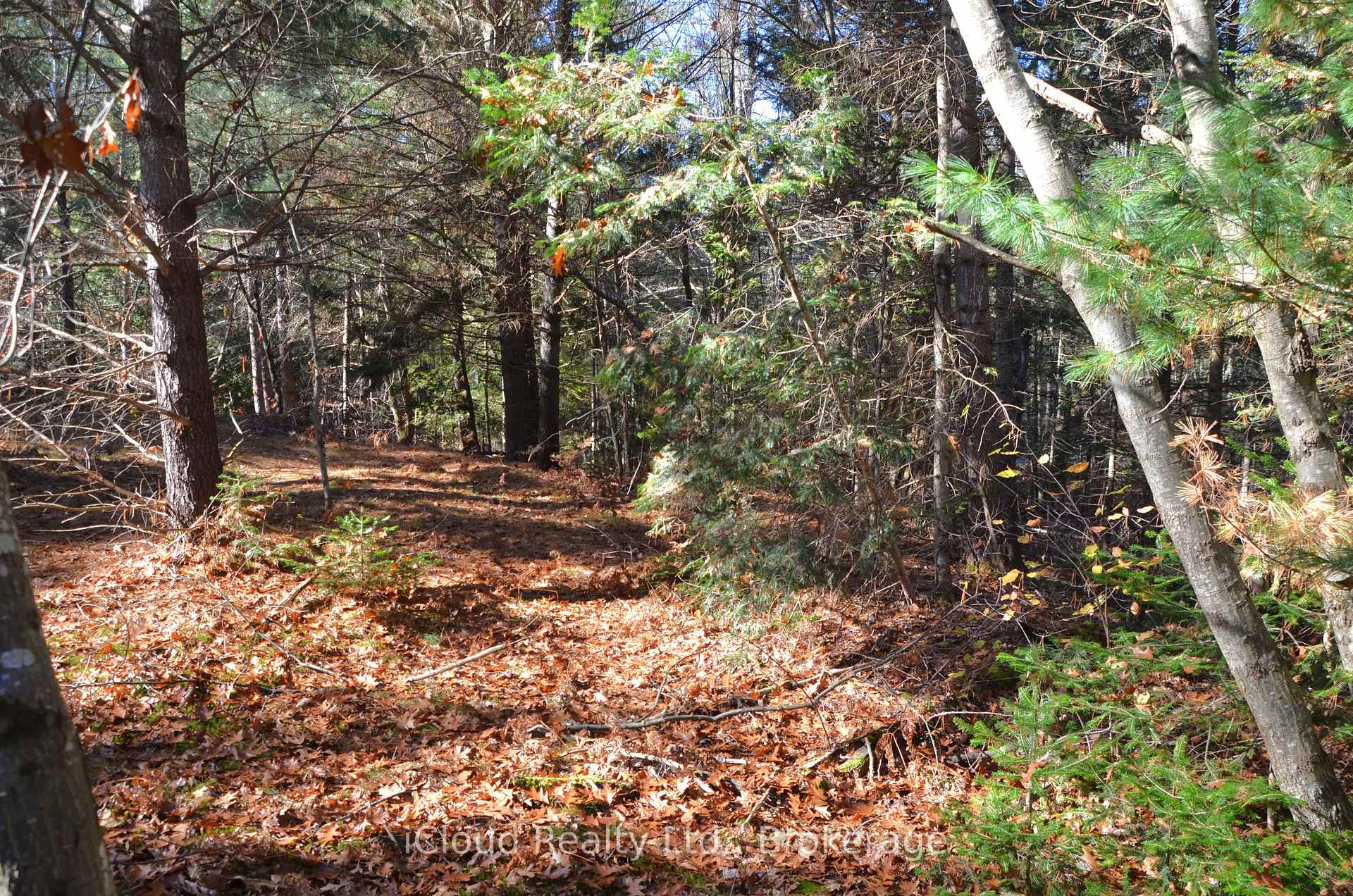 Photo 27 of 2 and 3 Parker Bay Road, Whitestone — HOMEH