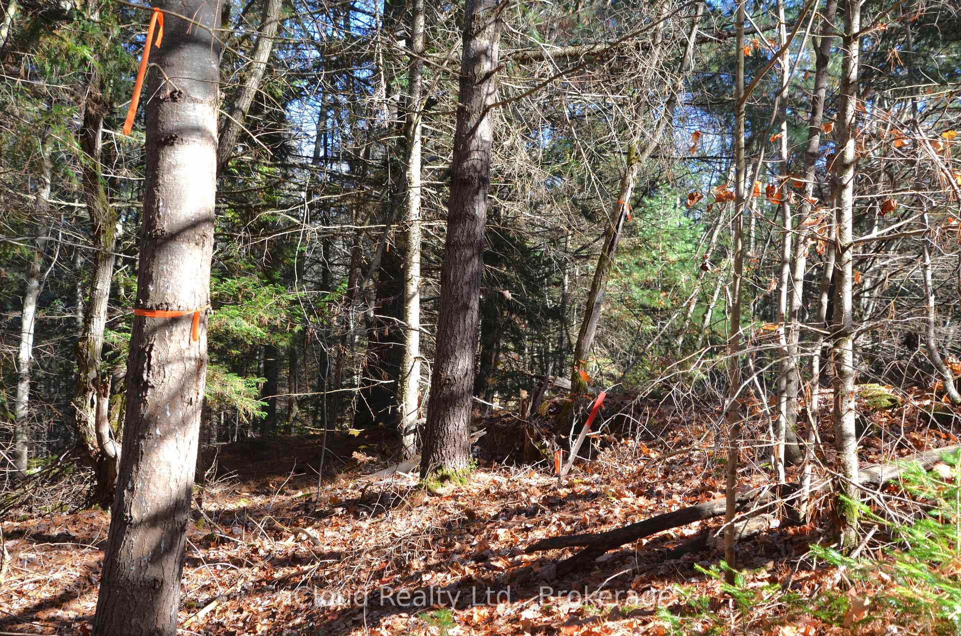 Photo 28 of 2 and 3 Parker Bay Road, Whitestone — HOMEH