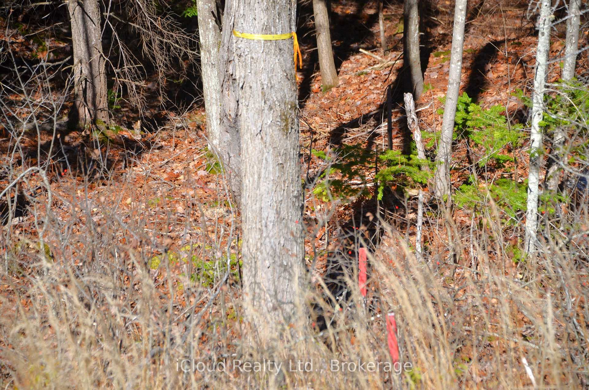 Photo 30 of 2 and 3 Parker Bay Road, Whitestone — HOMEH