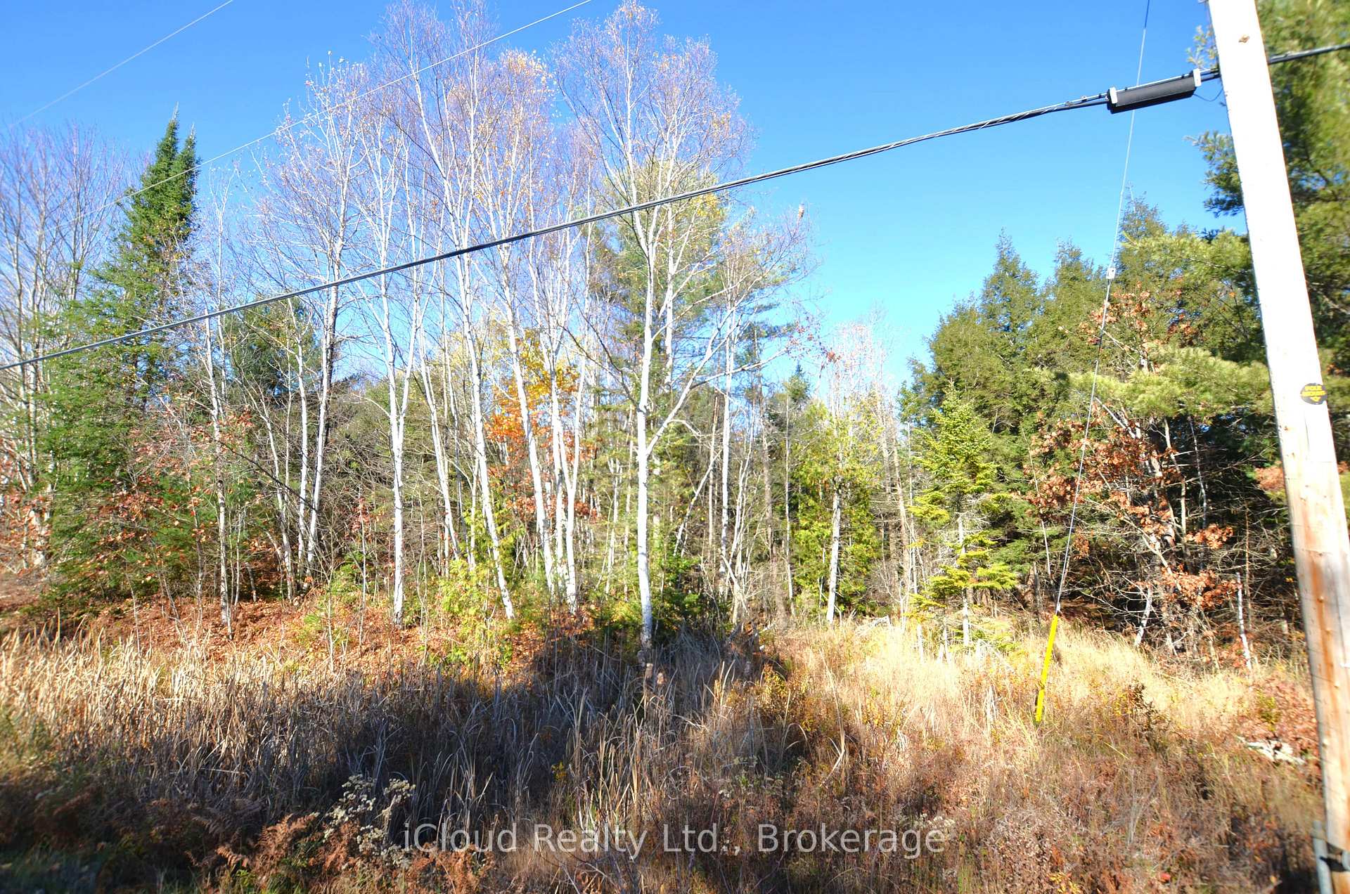 Photo 31 of 2 and 3 Parker Bay Road, Whitestone — HOMEH