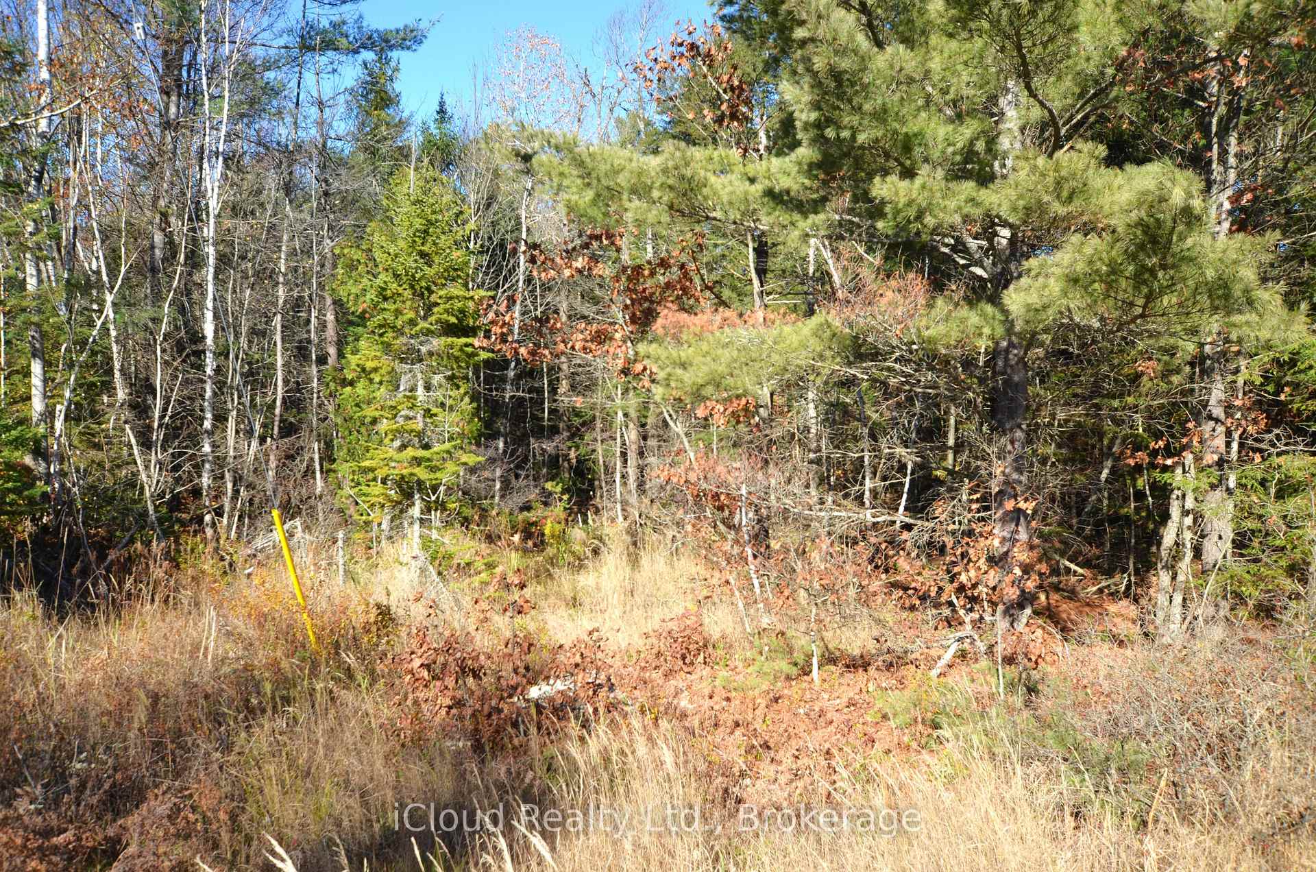 Photo 32 of 2 and 3 Parker Bay Road, Whitestone — HOMEH