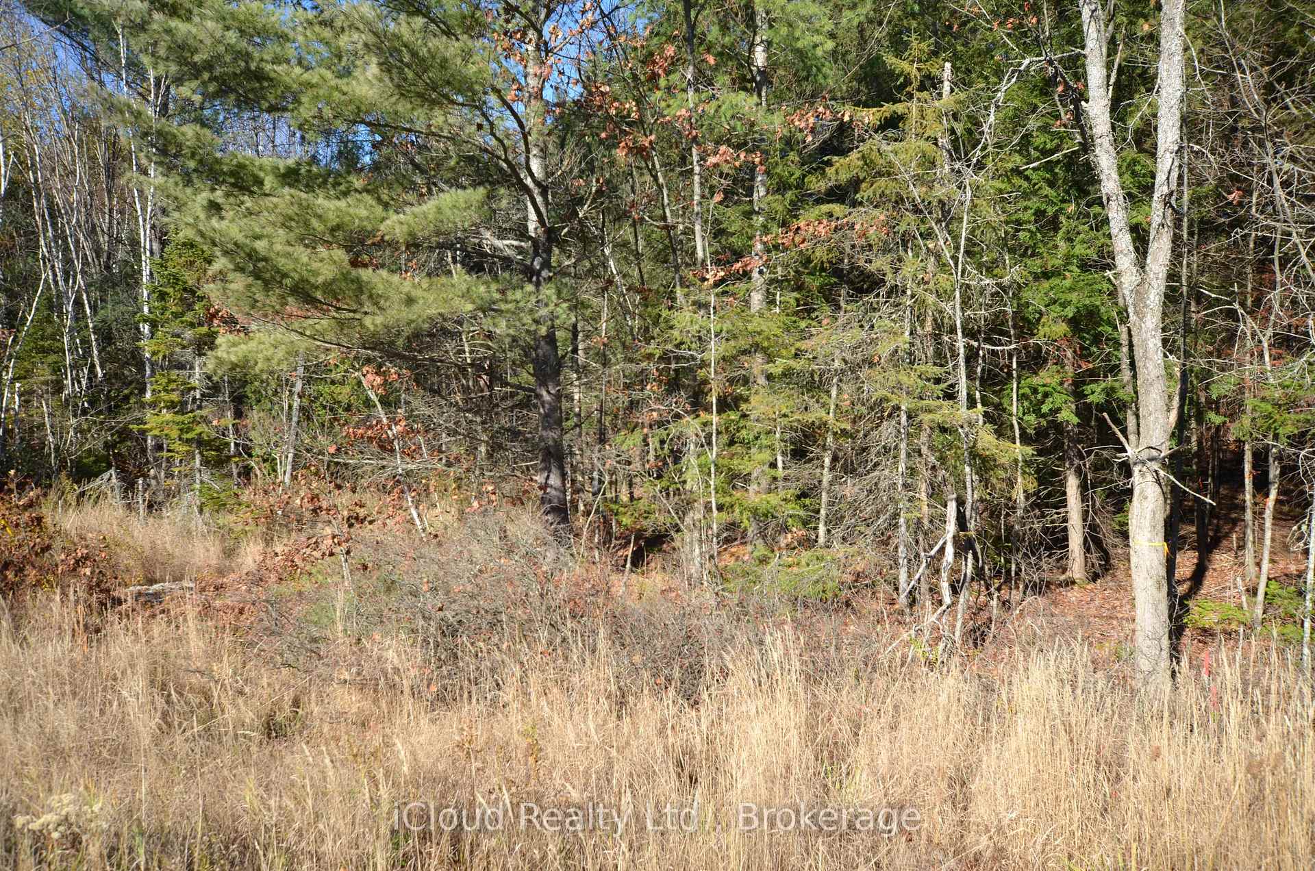 Photo 34 of 2 and 3 Parker Bay Road, Whitestone — HOMEH