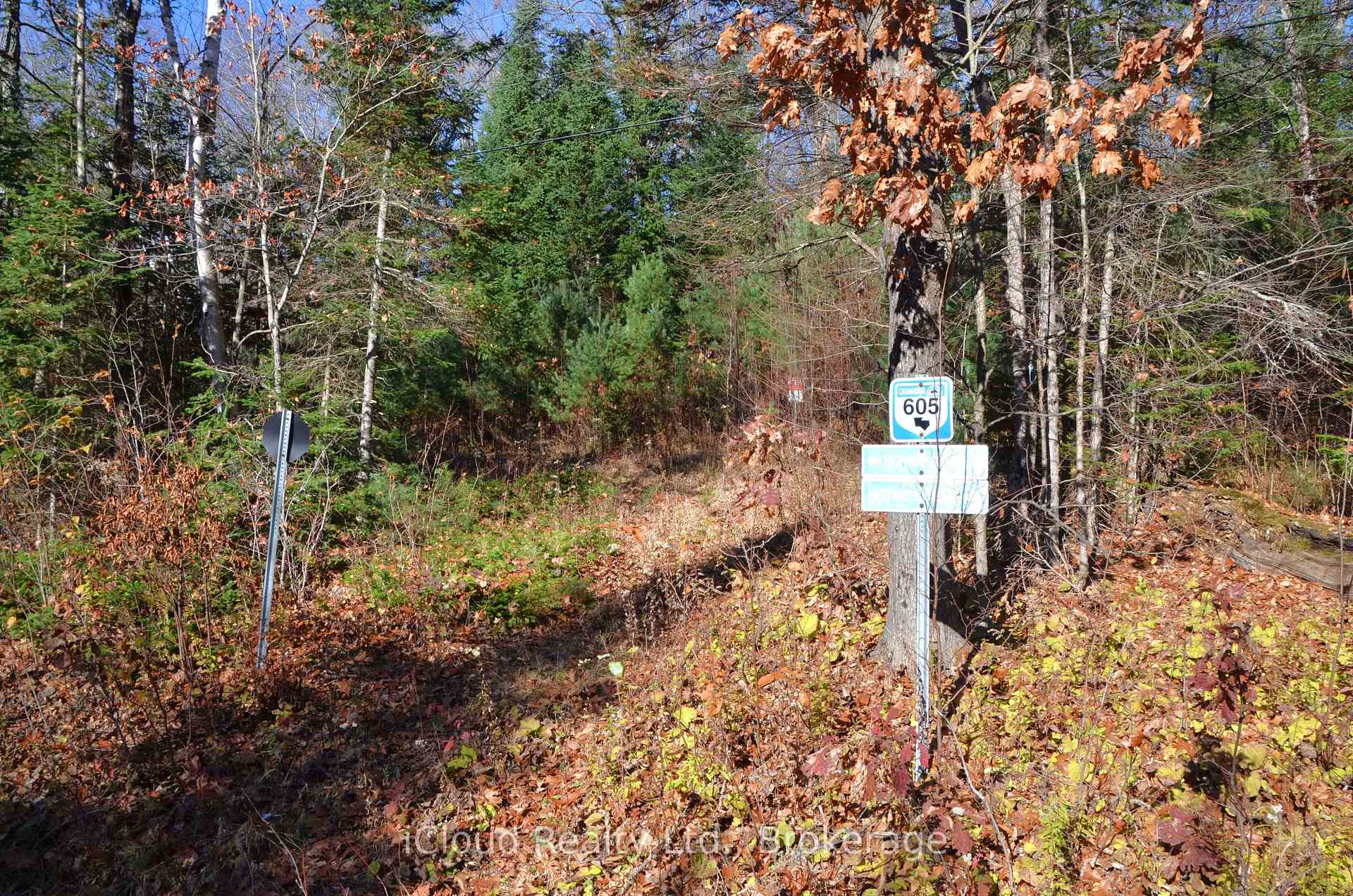 Photo 37 of 2 and 3 Parker Bay Road, Whitestone — HOMEH
