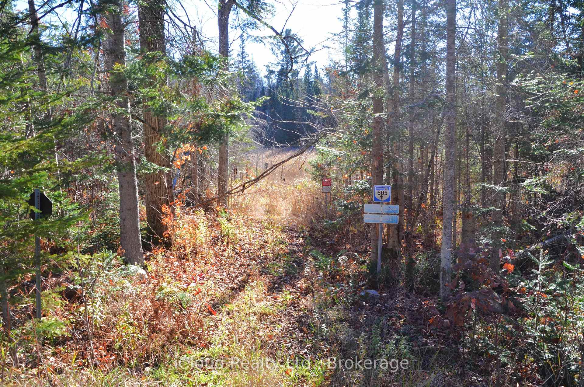 Photo 39 of 2 and 3 Parker Bay Road, Whitestone — HOMEH
