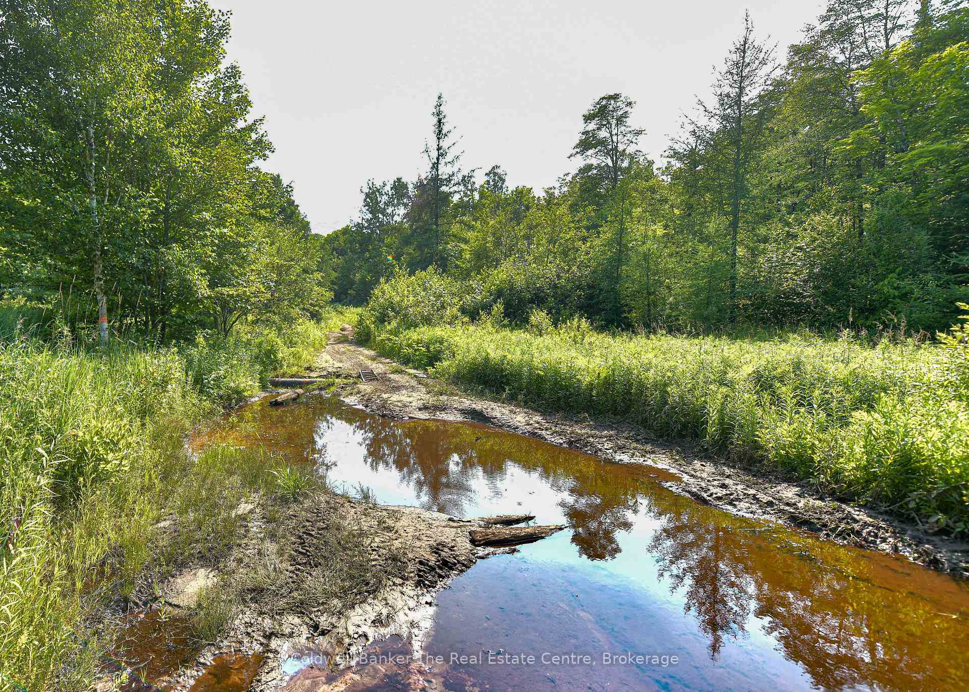 Photo 28 of 1121 Beiers Road, Gravenhurst, Morrison — HOMEH