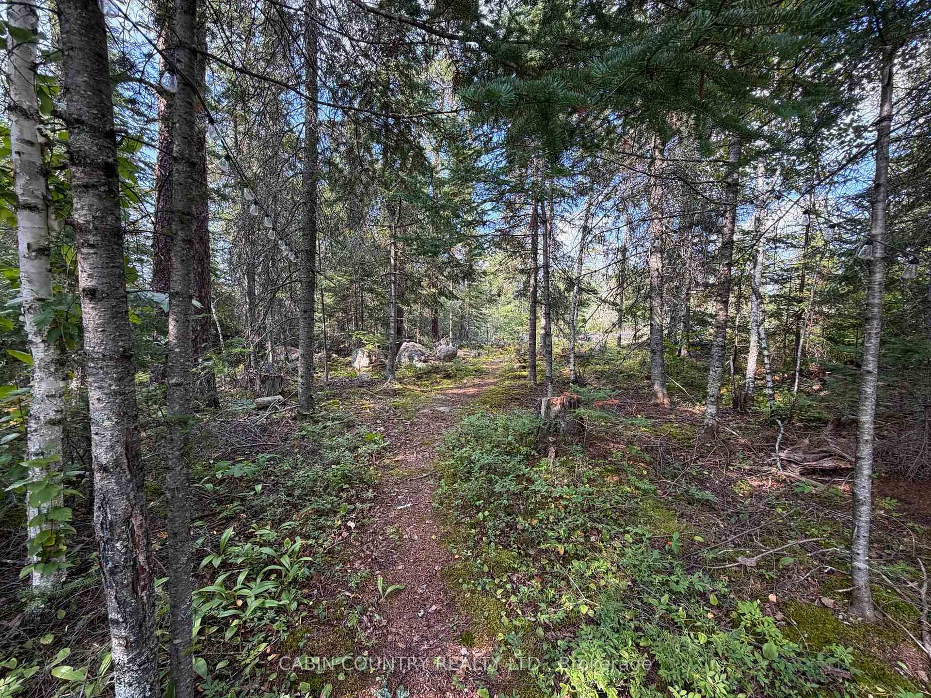 Photo 20 of 60 Nelson Road, Kenora Remote Area, Minaki-Winnepeg River — HOMEH