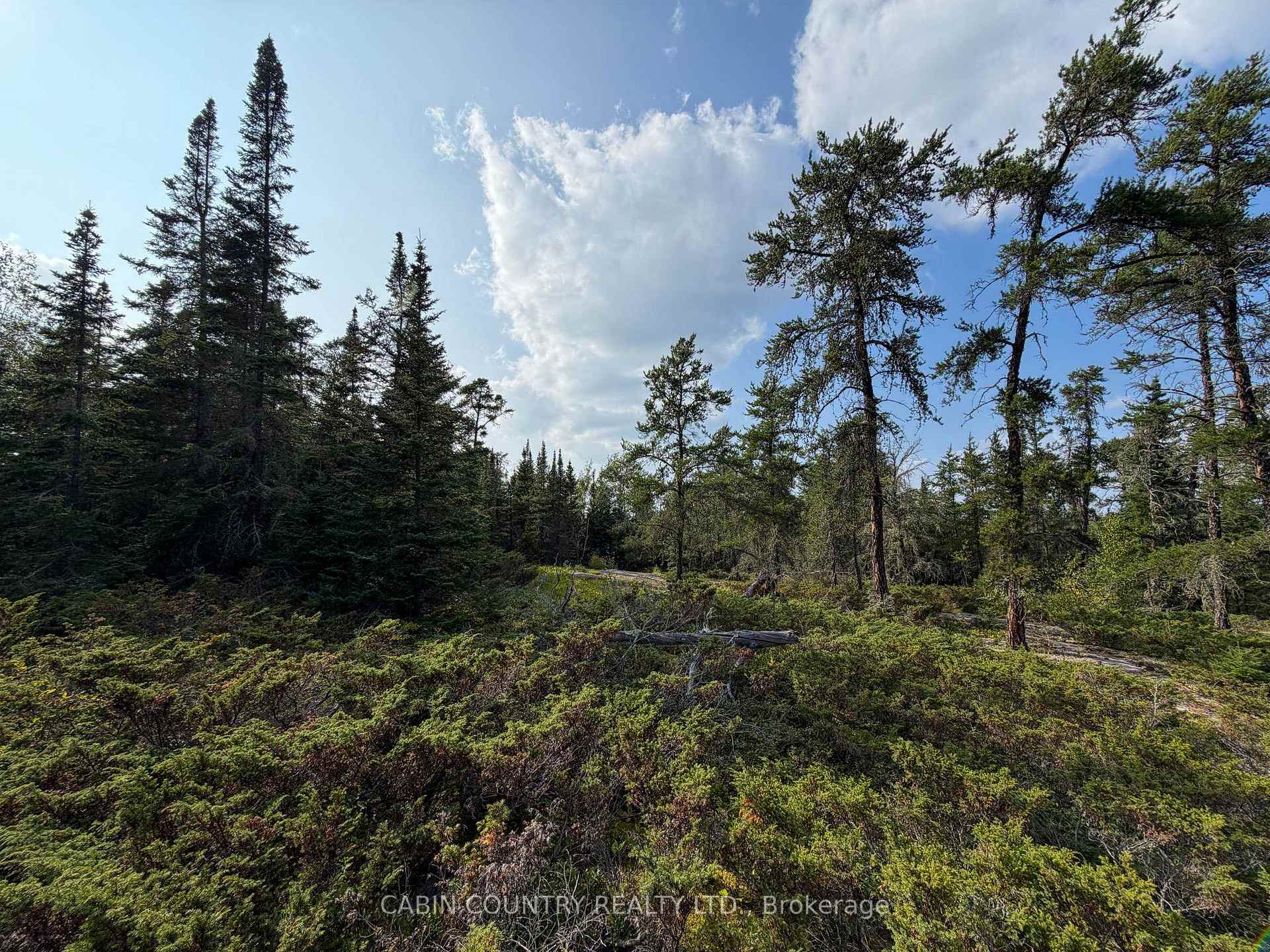 Photo 21 of 60 Nelson Road, Kenora Remote Area, Minaki-Winnepeg River — HOMEH