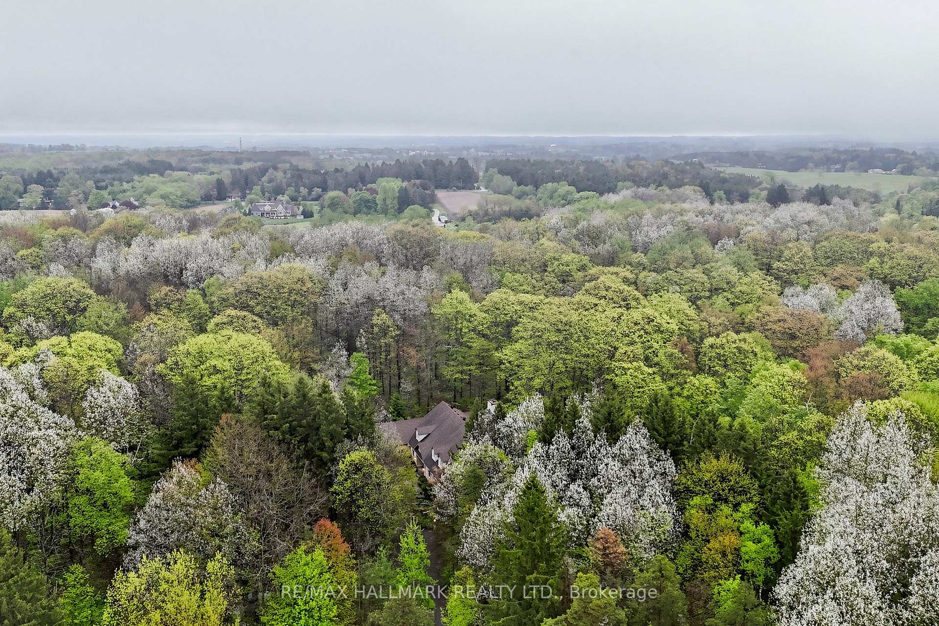 Photo 2 of 95 Fog Road, King, Rural King — HOMEH