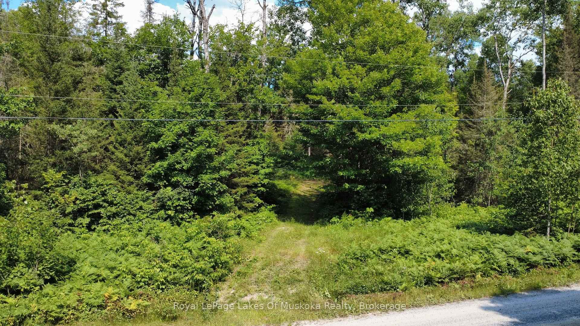 Photo 13 of Forest Lake Road, Joly — HOMEH