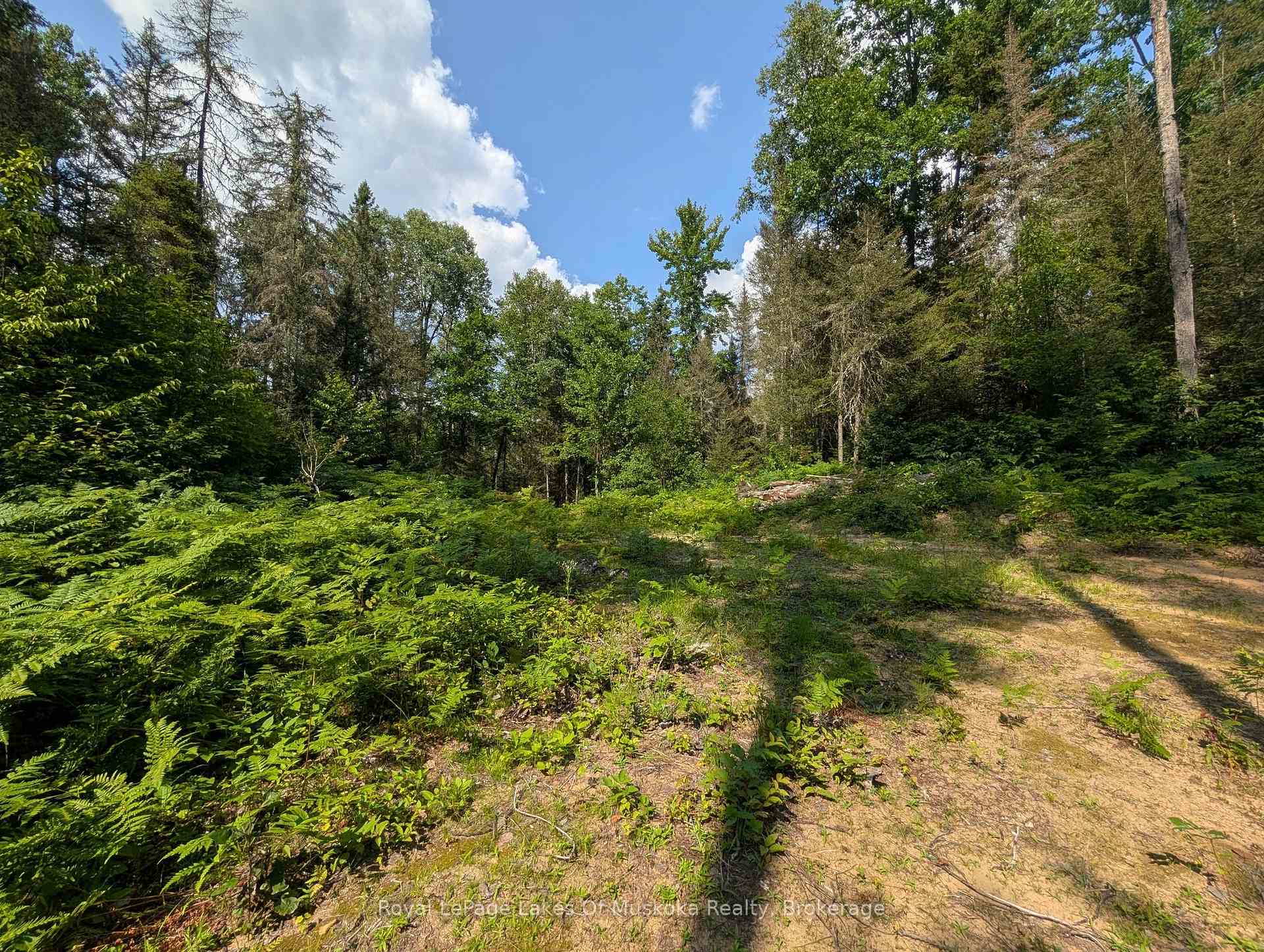 Photo 17 of Forest Lake Road, Joly — HOMEH