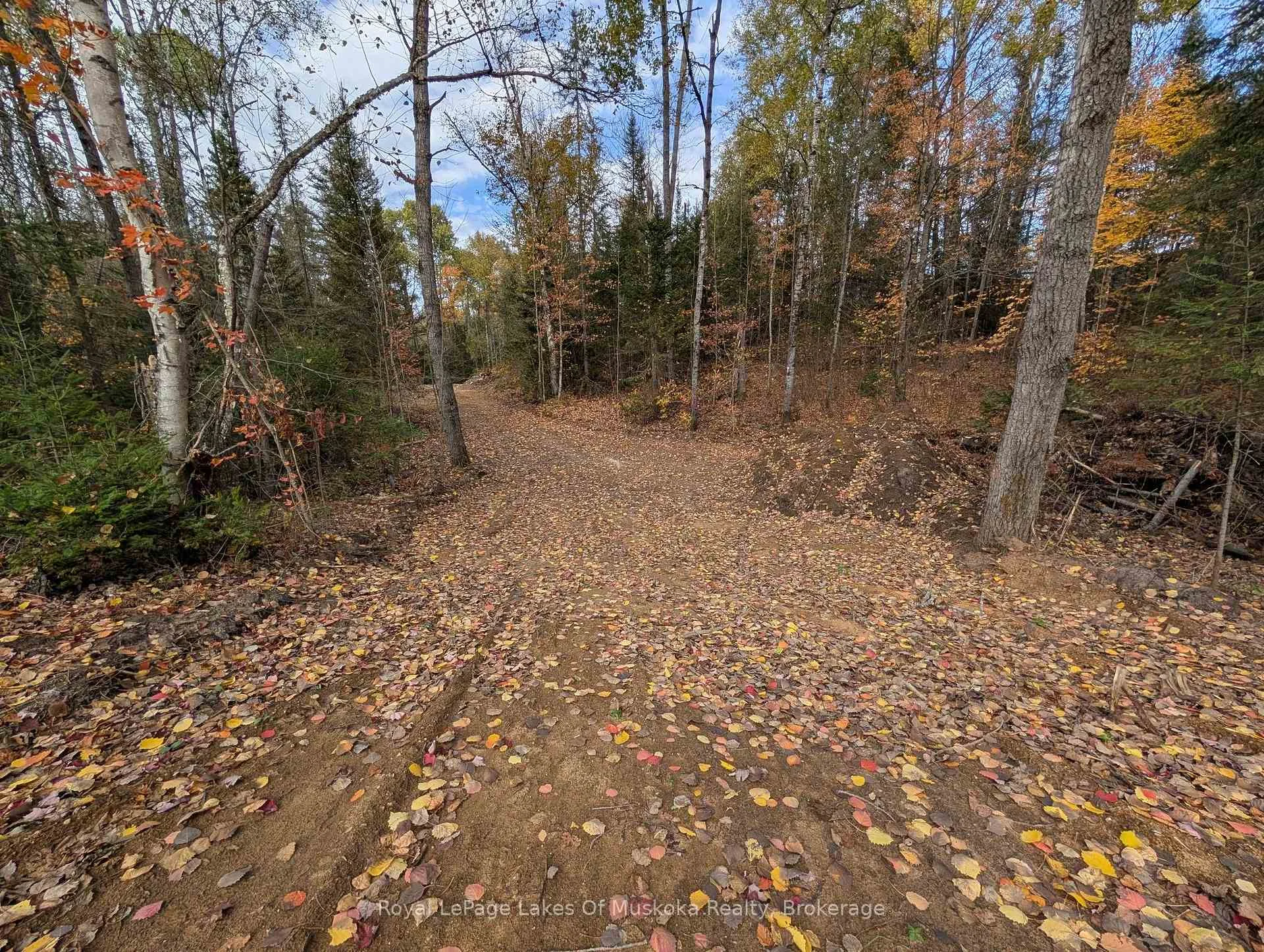 Photo 5 of Forest Lake Road, Joly — HOMEH