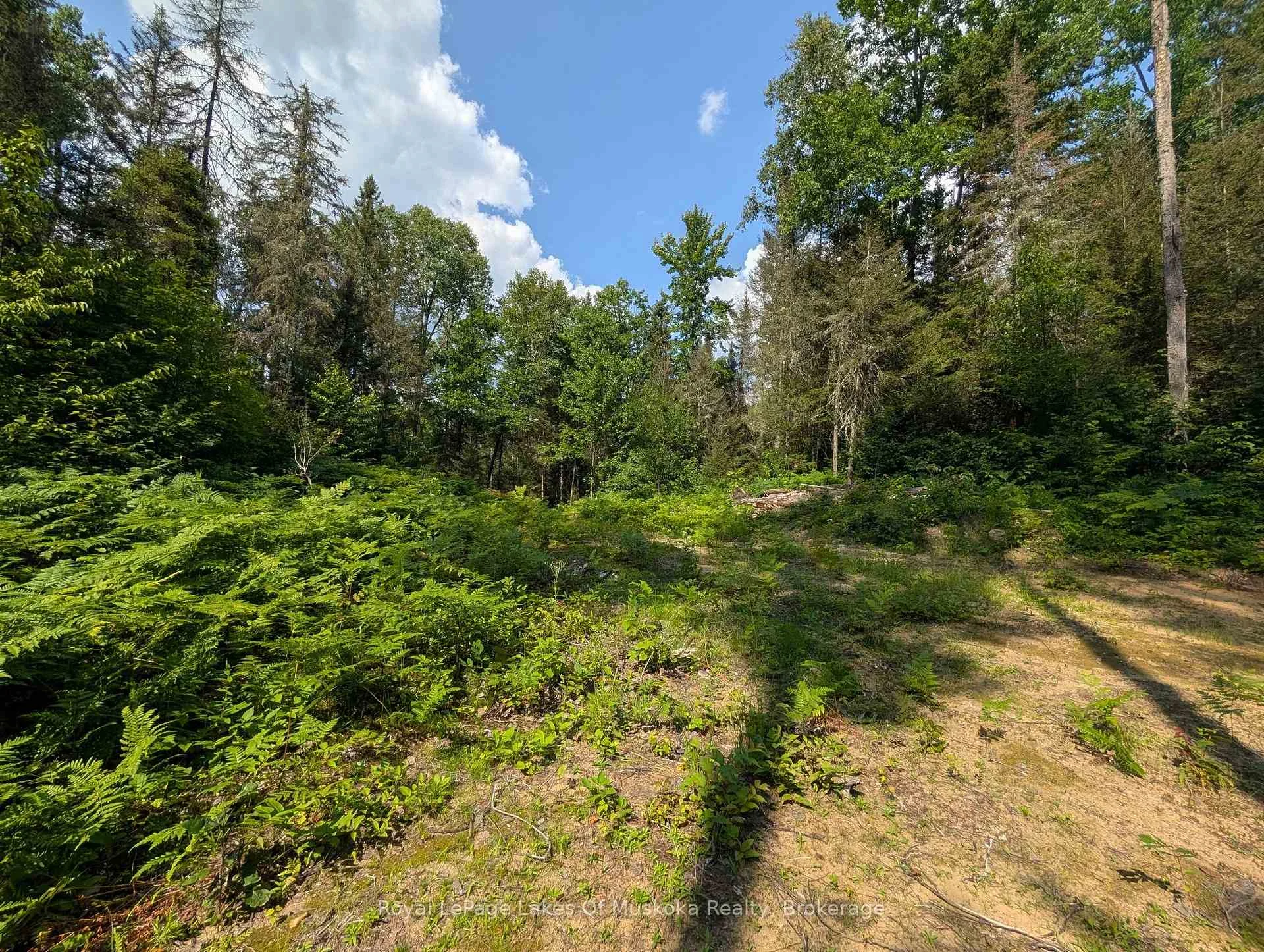 Photo 22 of Forest Lake Road, Joly — HOMEH