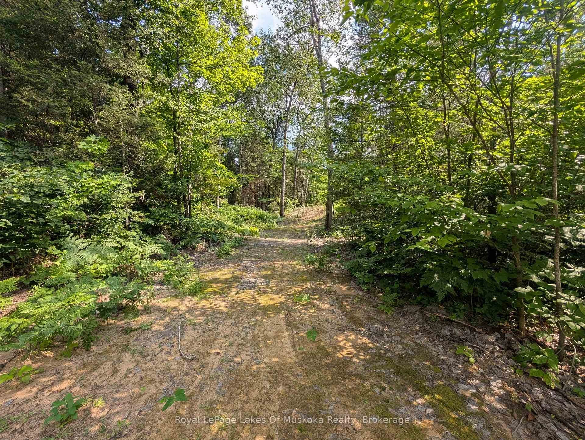 Photo 24 of Forest Lake Road, Joly — HOMEH
